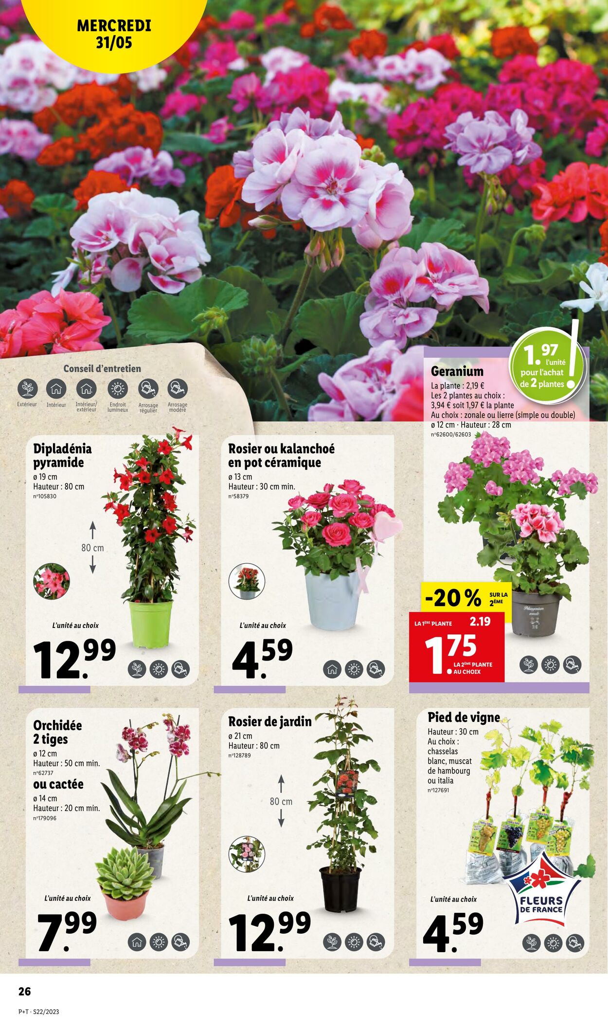 Catalogue Lidl 31.05.2023 - 06.06.2023