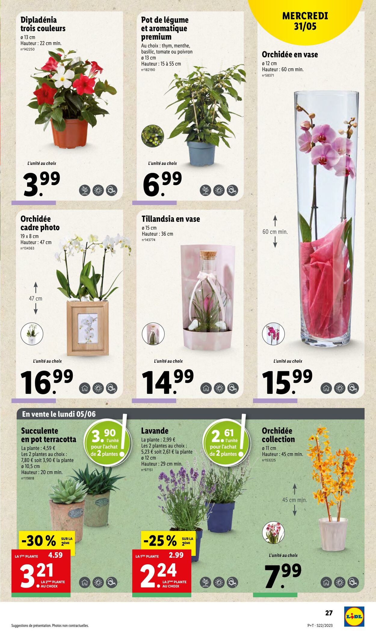 Catalogue Lidl 31.05.2023 - 06.06.2023