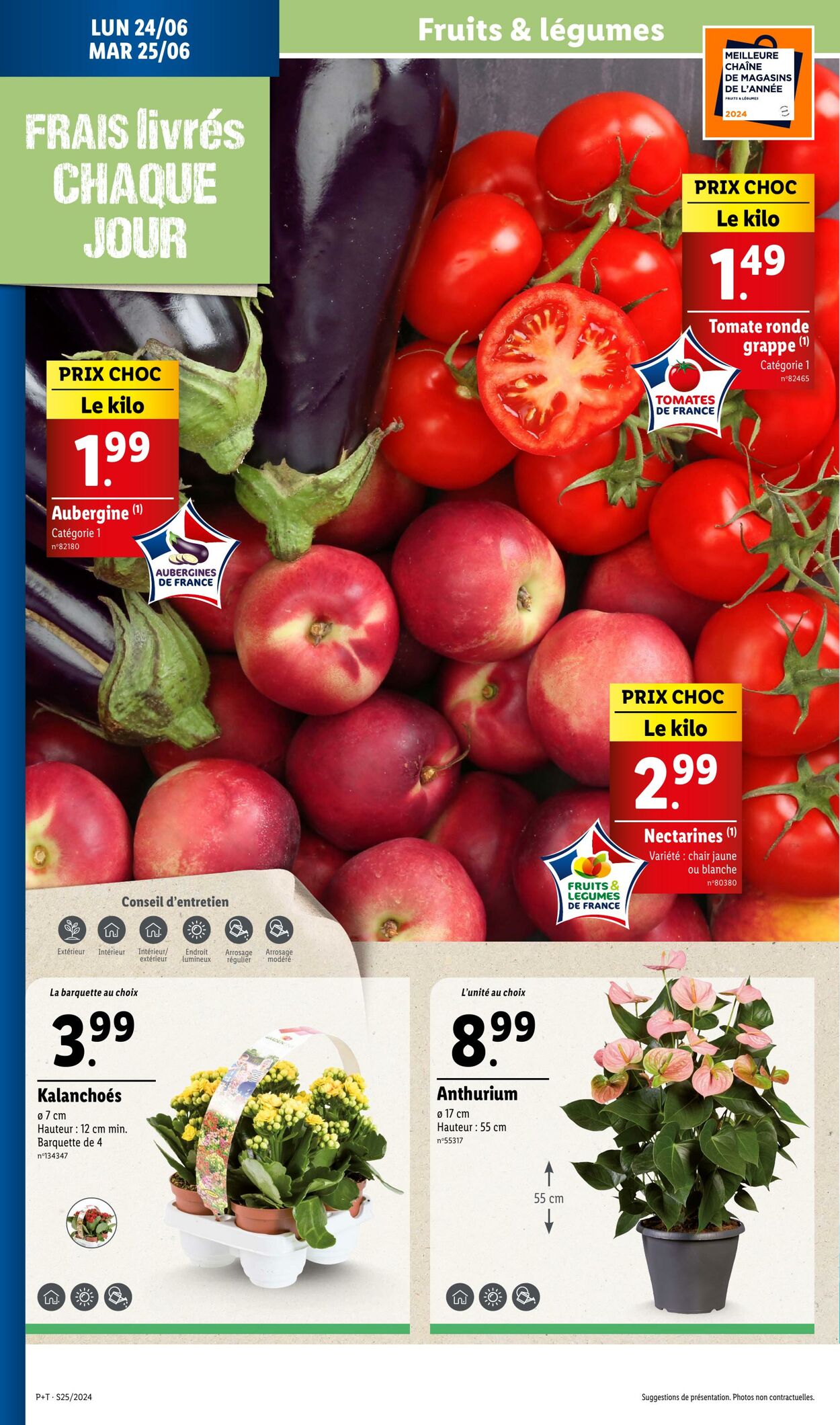 Catalogue Lidl 19.06.2024 - 25.06.2024