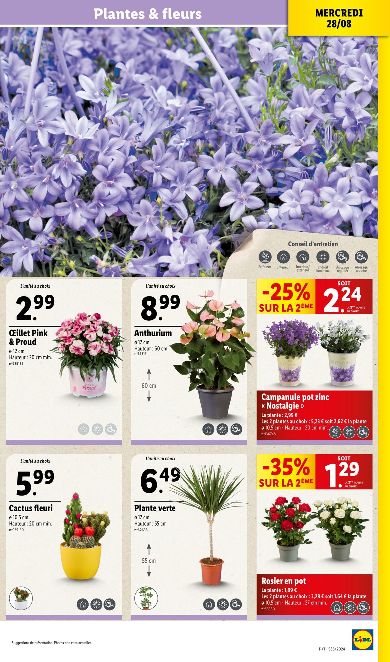 Catalogue Lidl 27.08.2024 - 03.09.2024