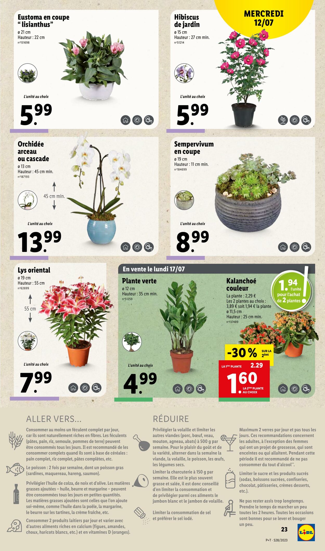 Catalogue Lidl 12.07.2023 - 18.07.2023