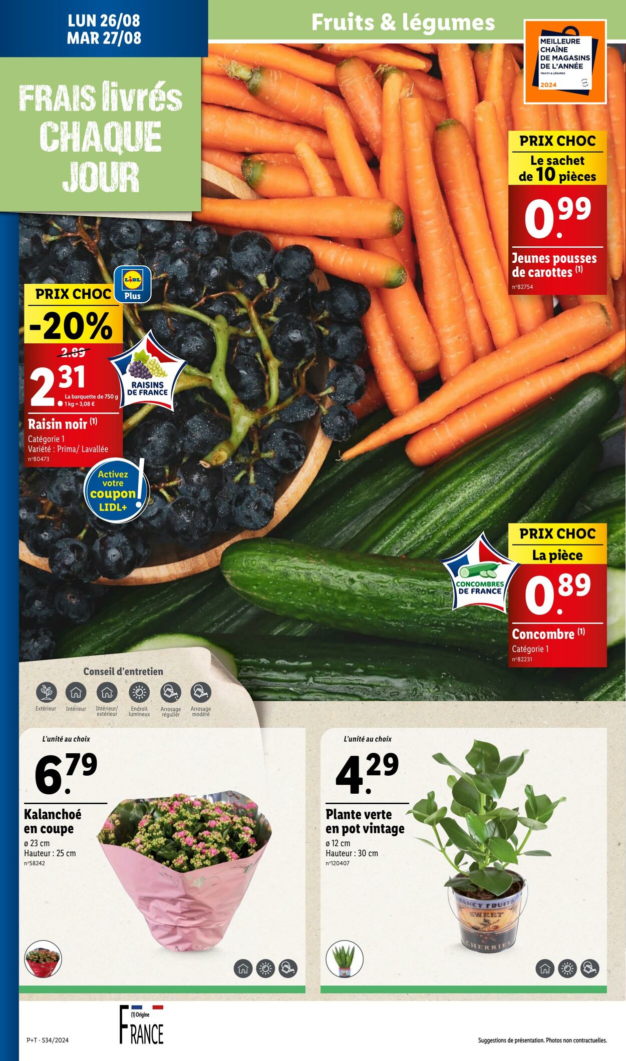 Catalogue Lidl 21.08.2024 - 27.08.2024