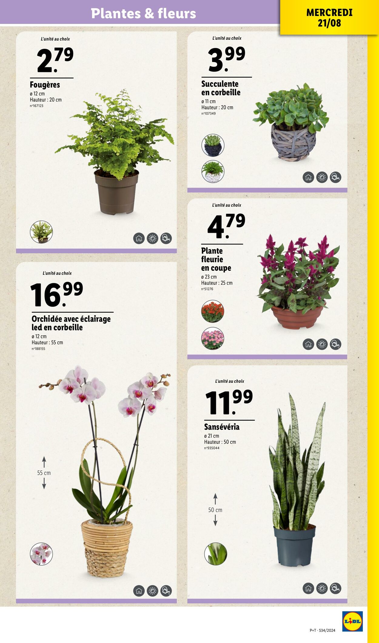 Catalogue Lidl 21.08.2024 - 27.08.2024