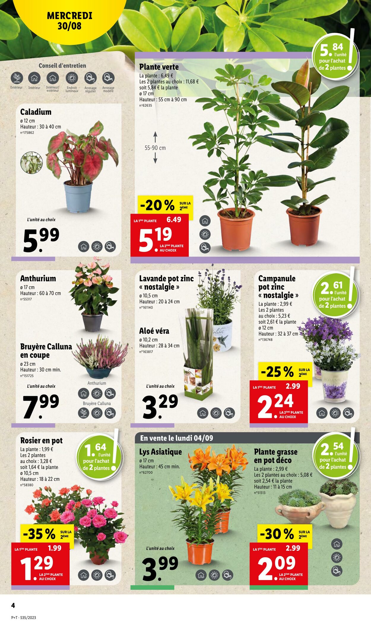 Catalogue Lidl 30.08.2023 - 05.09.2023