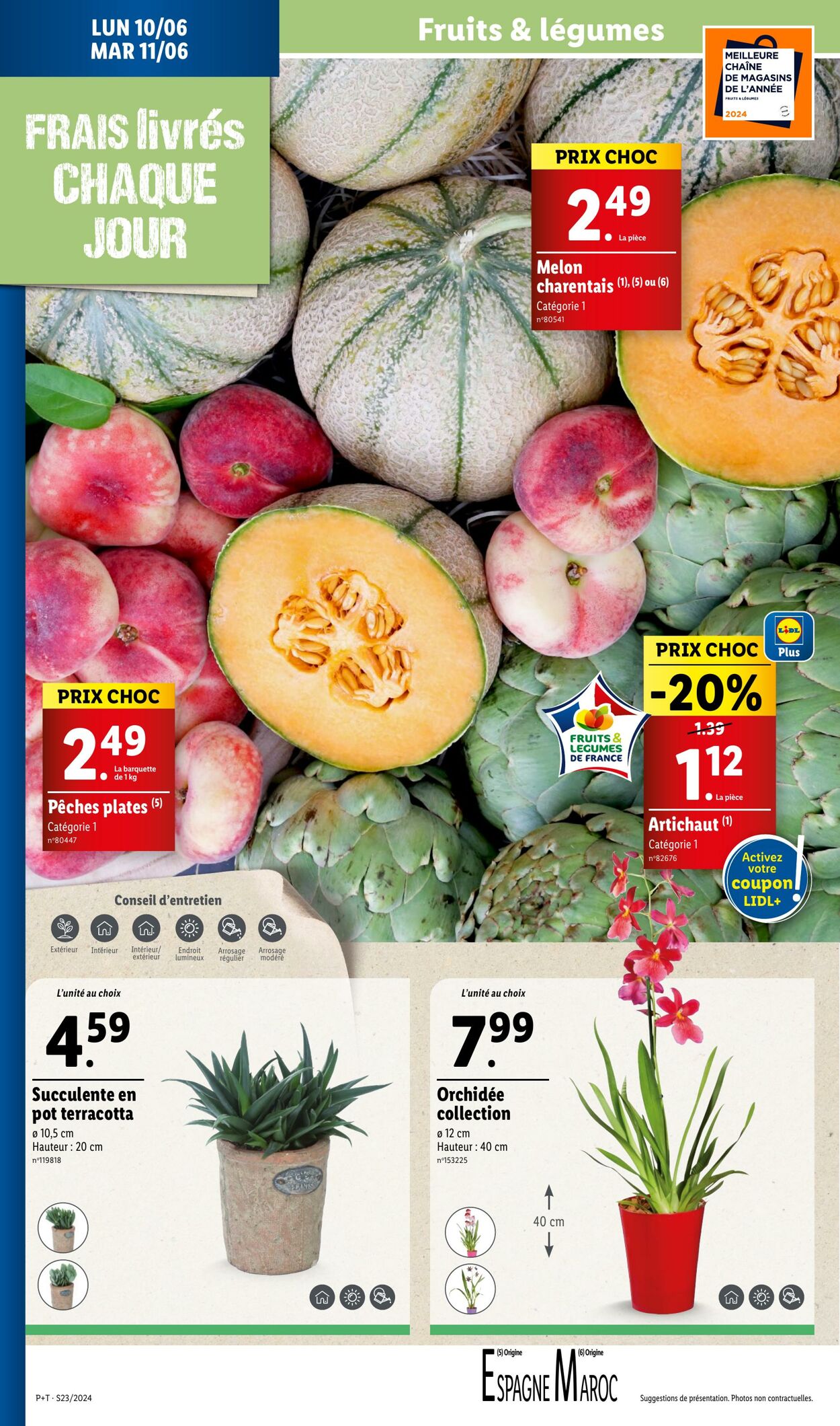 Catalogue Lidl 05.06.2024 - 11.06.2024