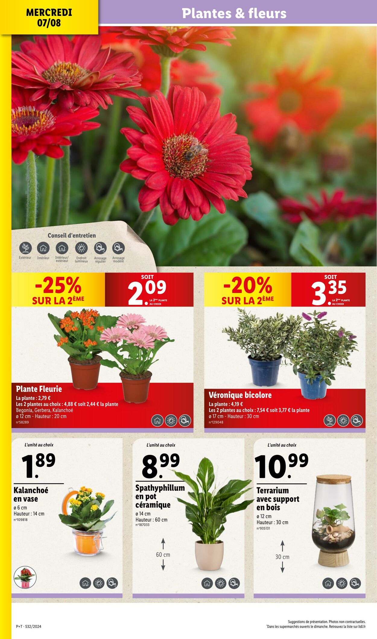 Catalogue Lidl 07.08.2024 - 13.08.2024