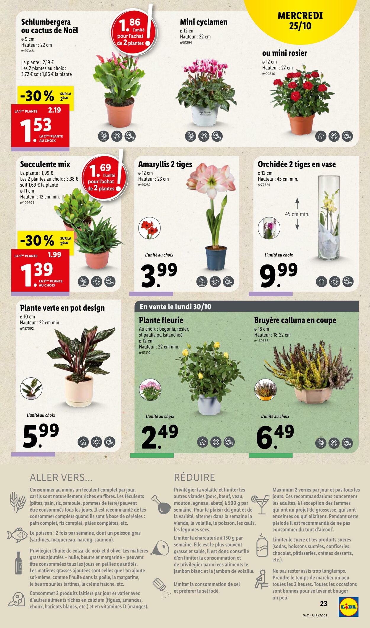 Catalogue Lidl 25.10.2023 - 31.10.2023