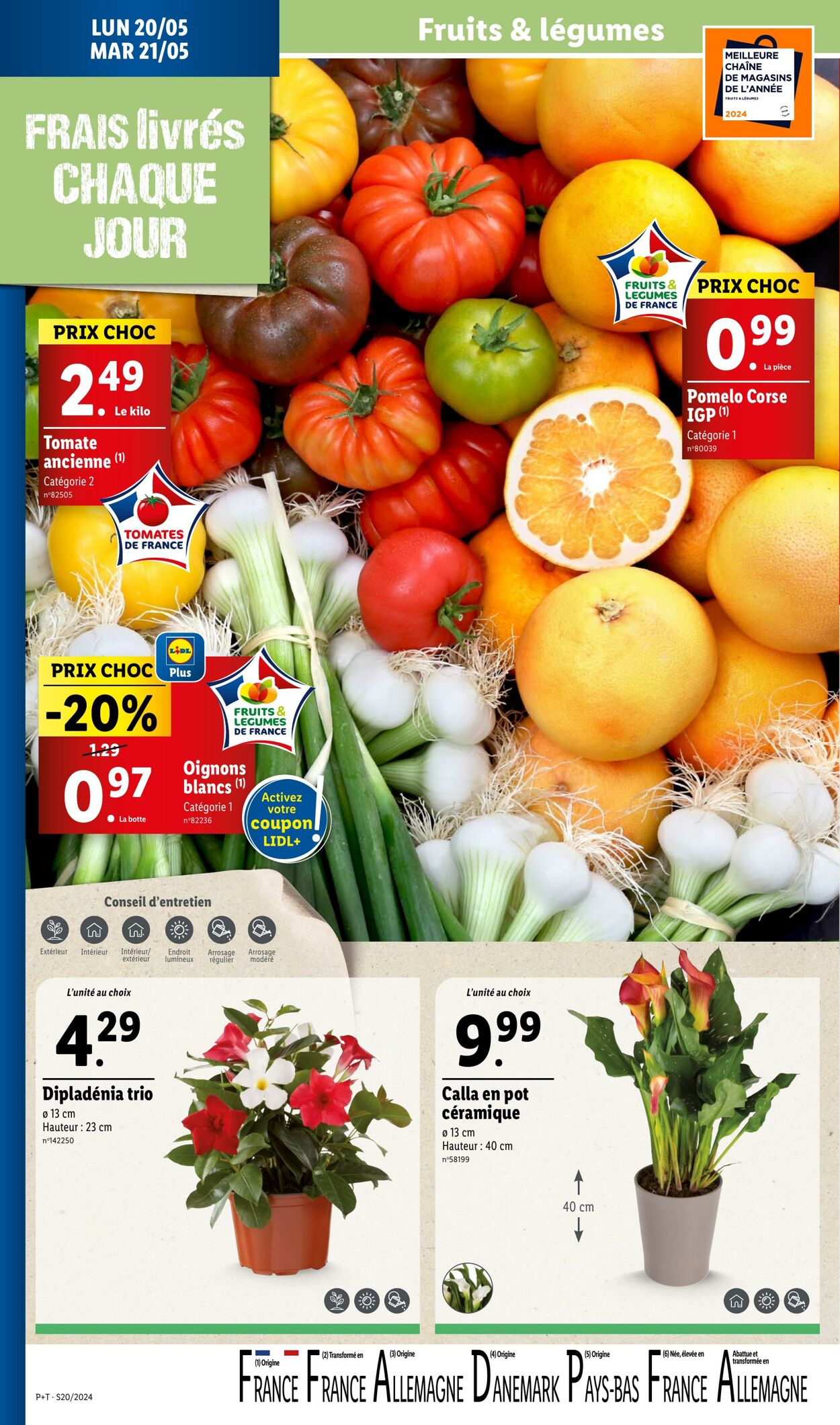 Catalogue Lidl 15.05.2024 - 21.05.2024