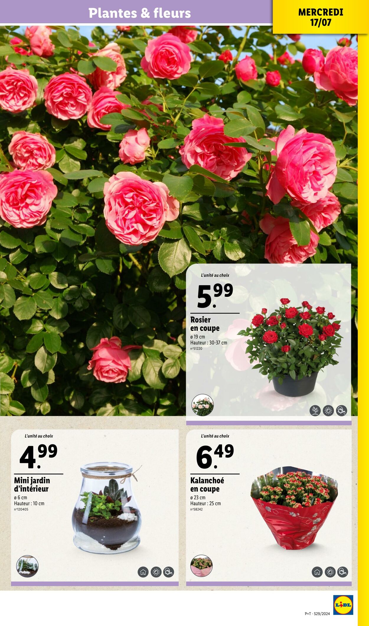 Catalogue Lidl 17.07.2024 - 23.07.2024