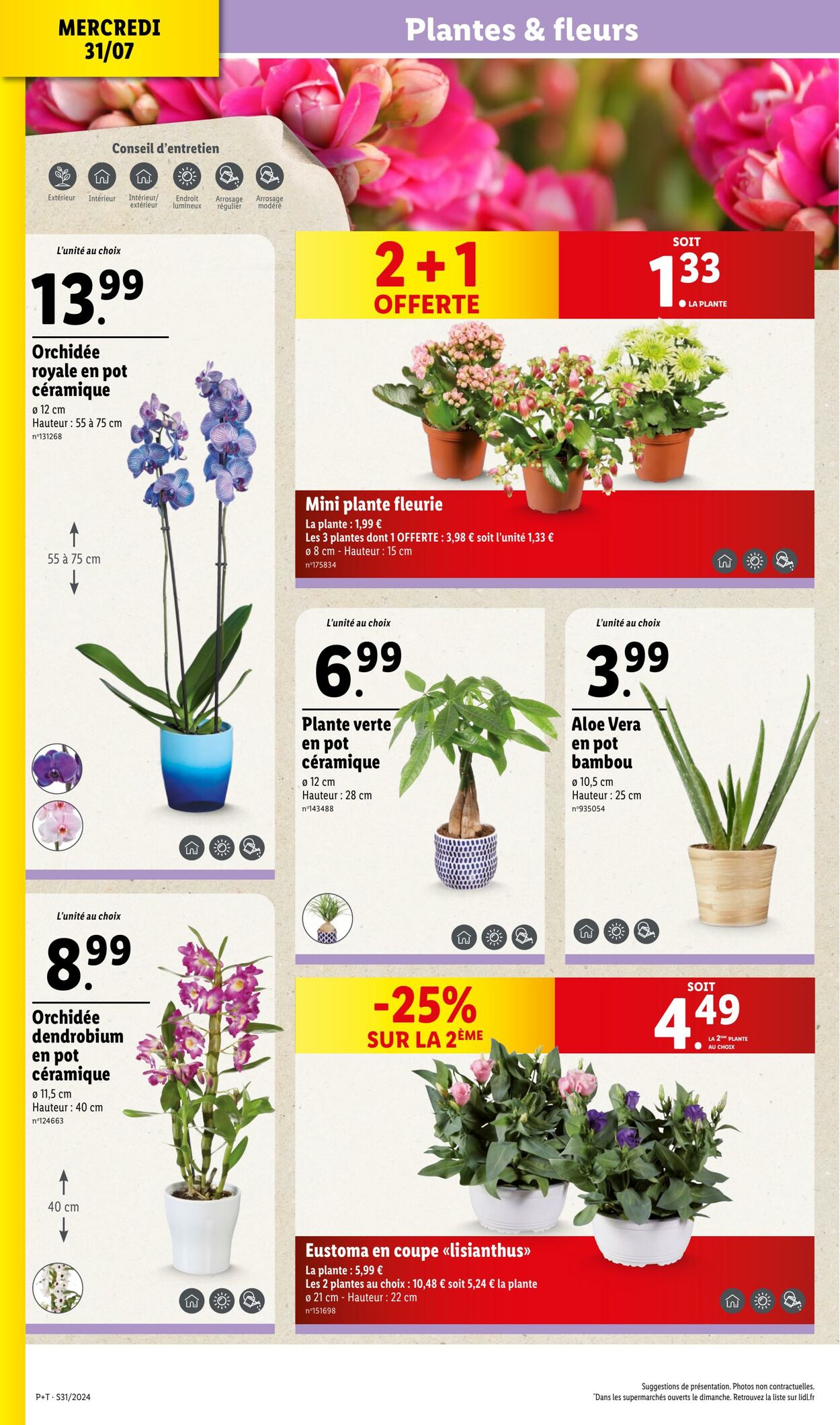 Catalogue Lidl 31.07.2024 - 06.08.2024