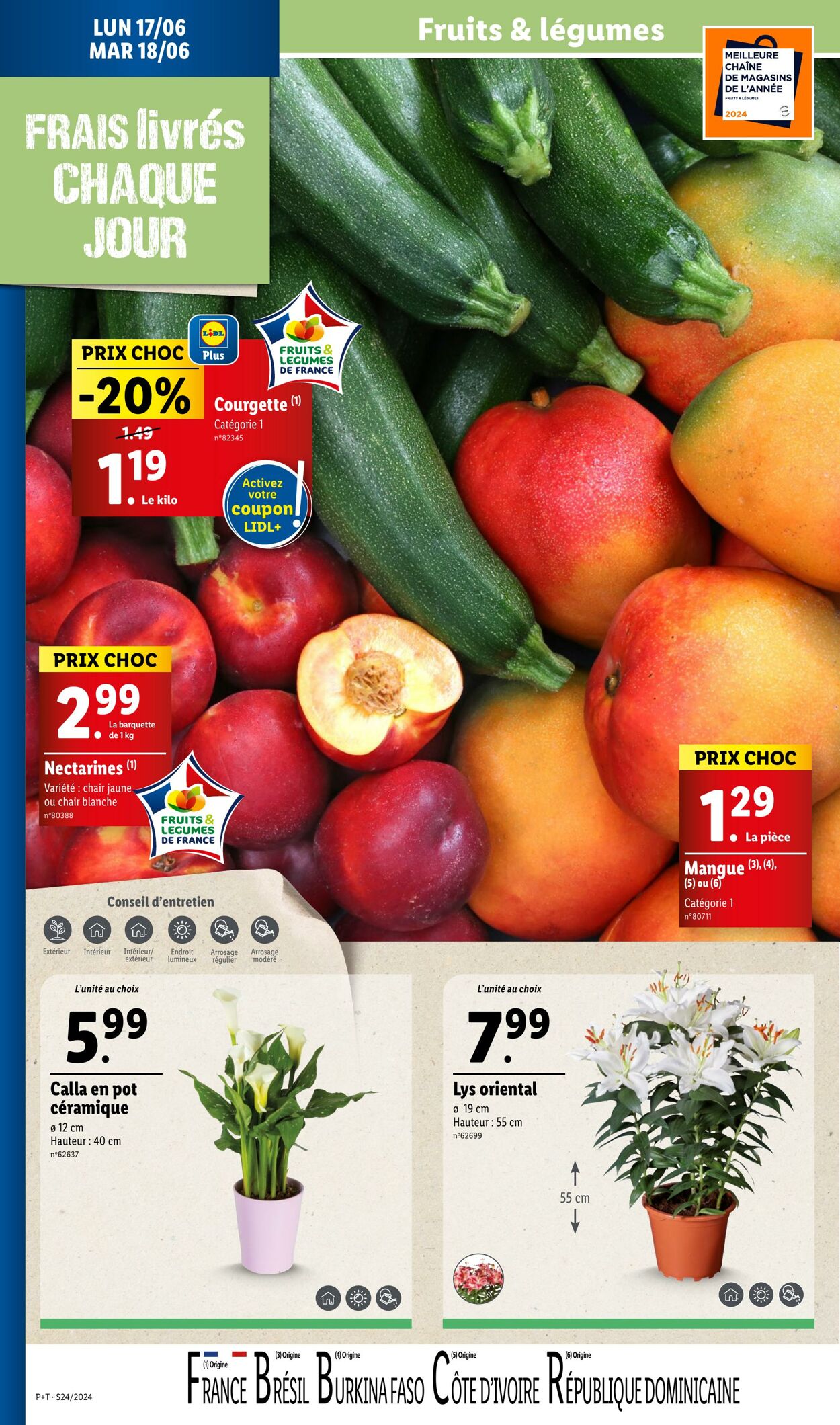 Catalogue Lidl 12.06.2024 - 18.06.2024