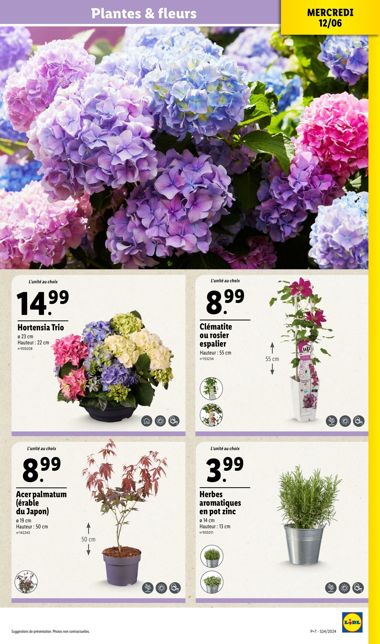 Catalogue Lidl 12.06.2024 - 18.06.2024