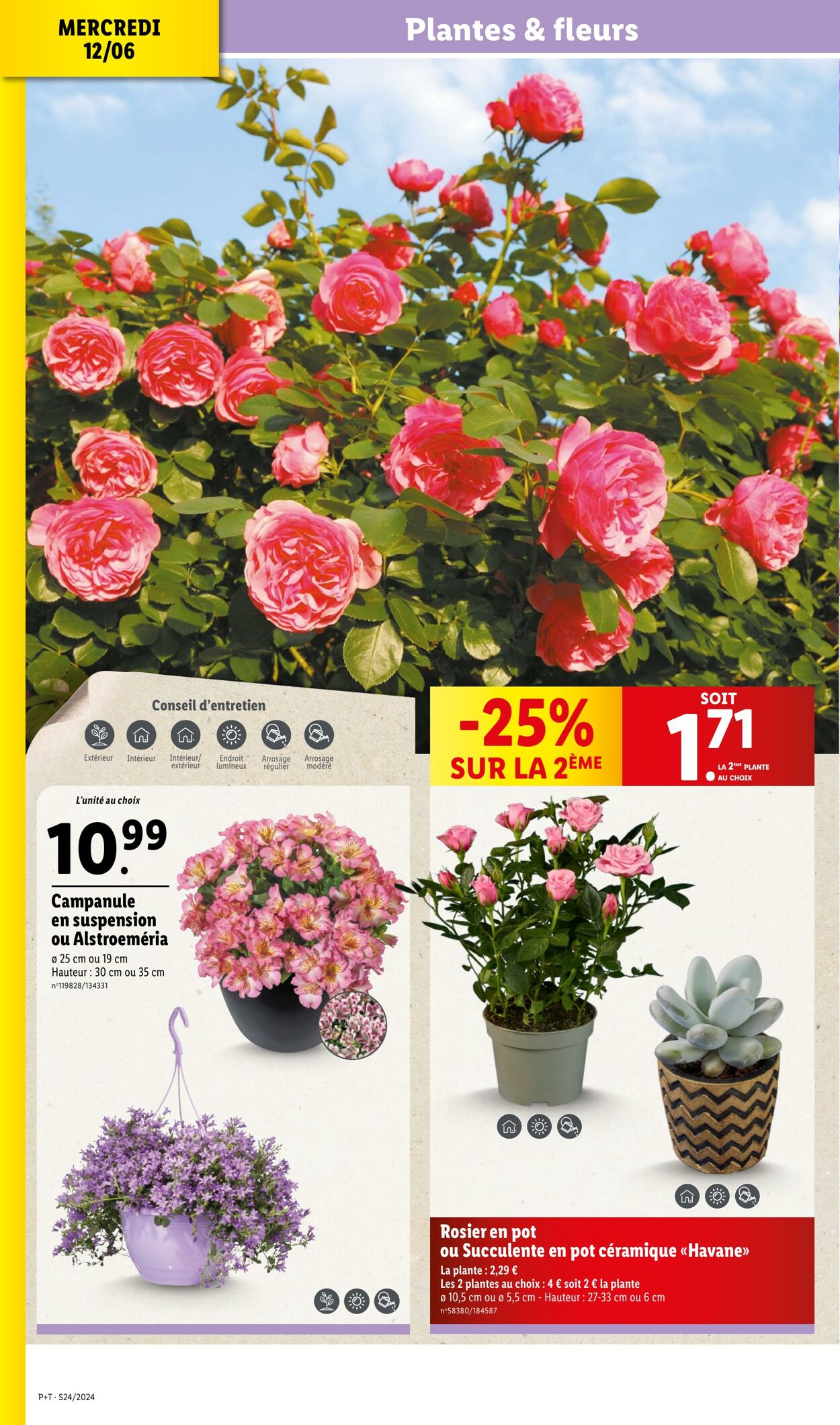 Catalogue Lidl 12.06.2024 - 18.06.2024