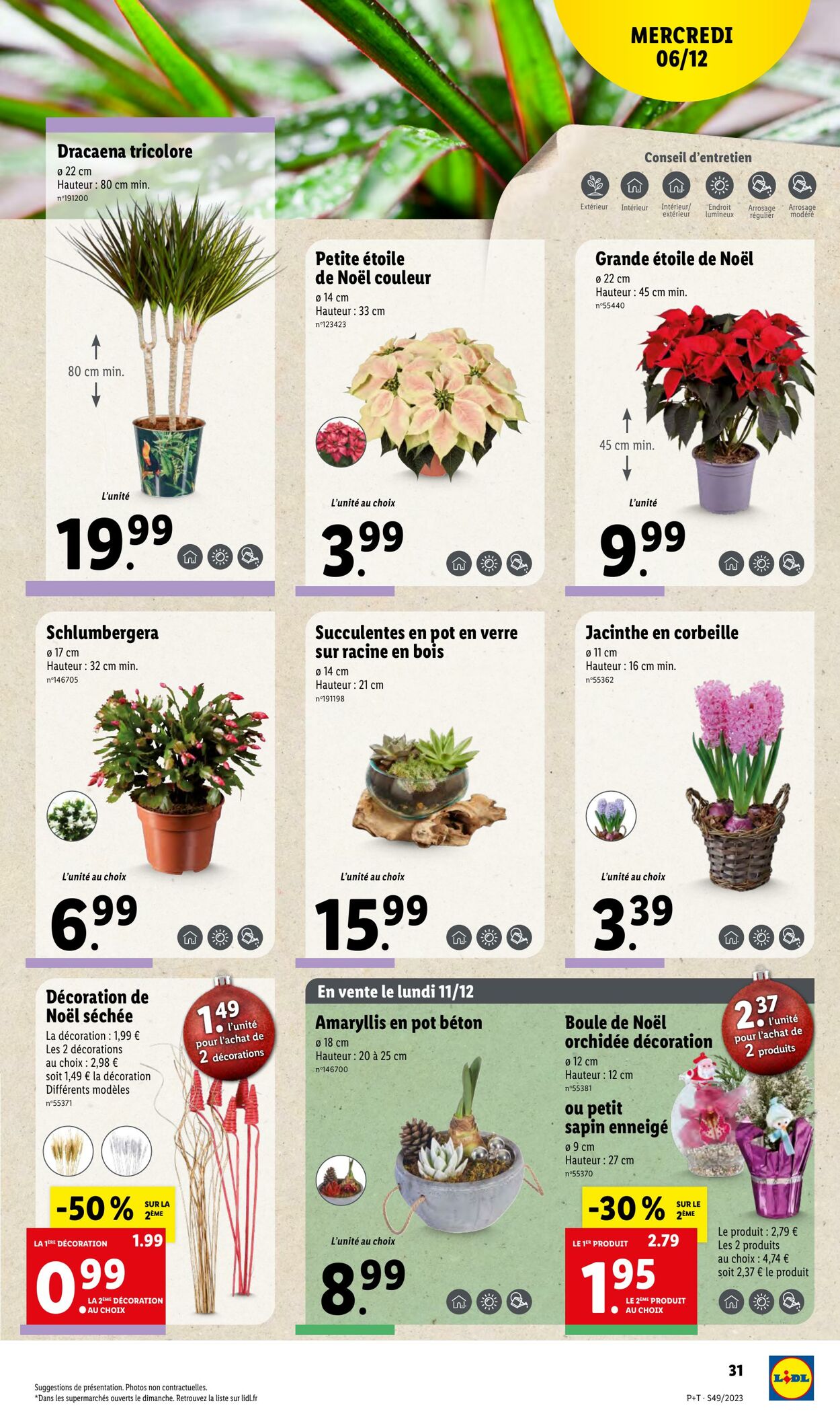 Catalogue Lidl 06.12.2023 - 12.12.2023