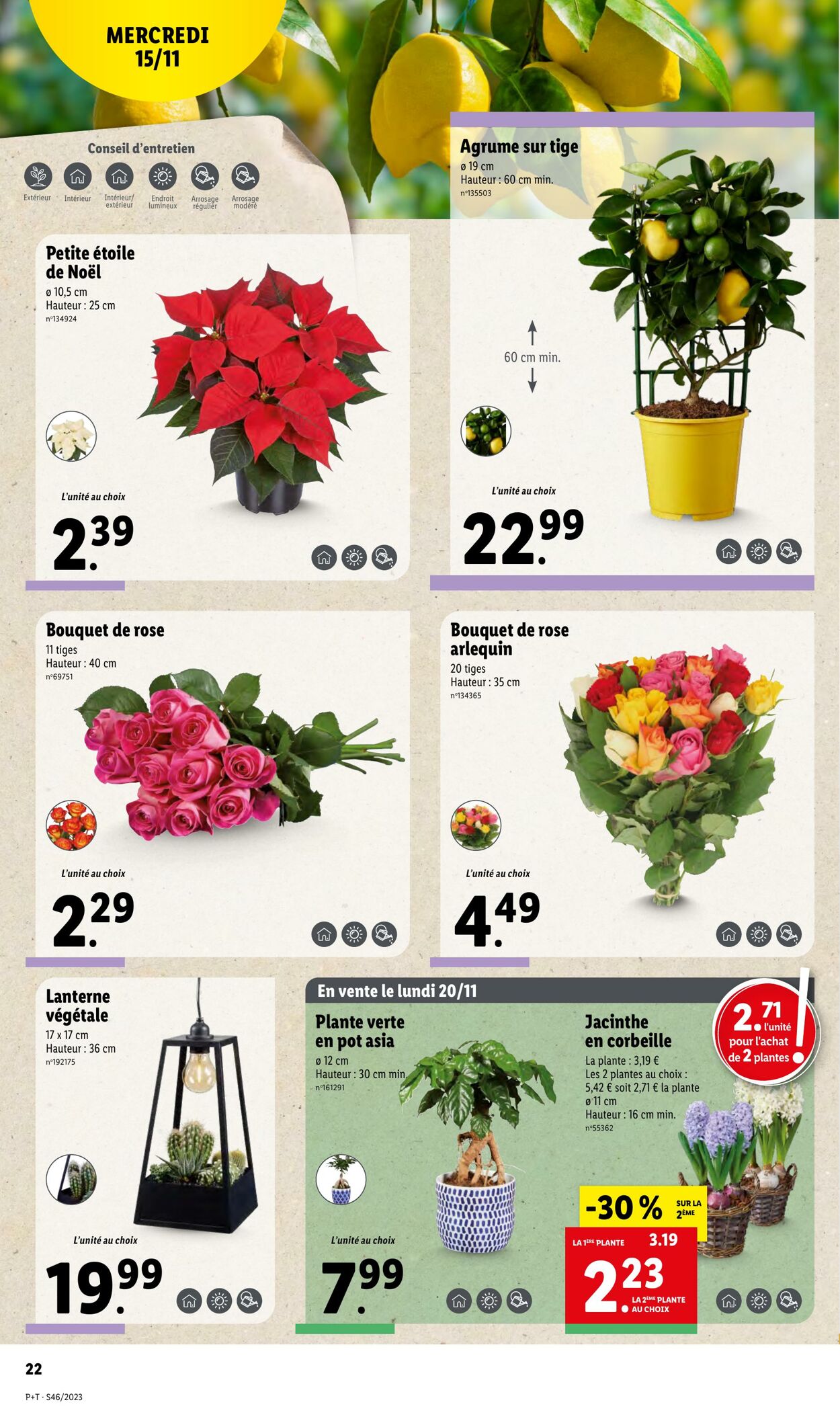 Catalogue Lidl 15.11.2023 - 21.11.2023