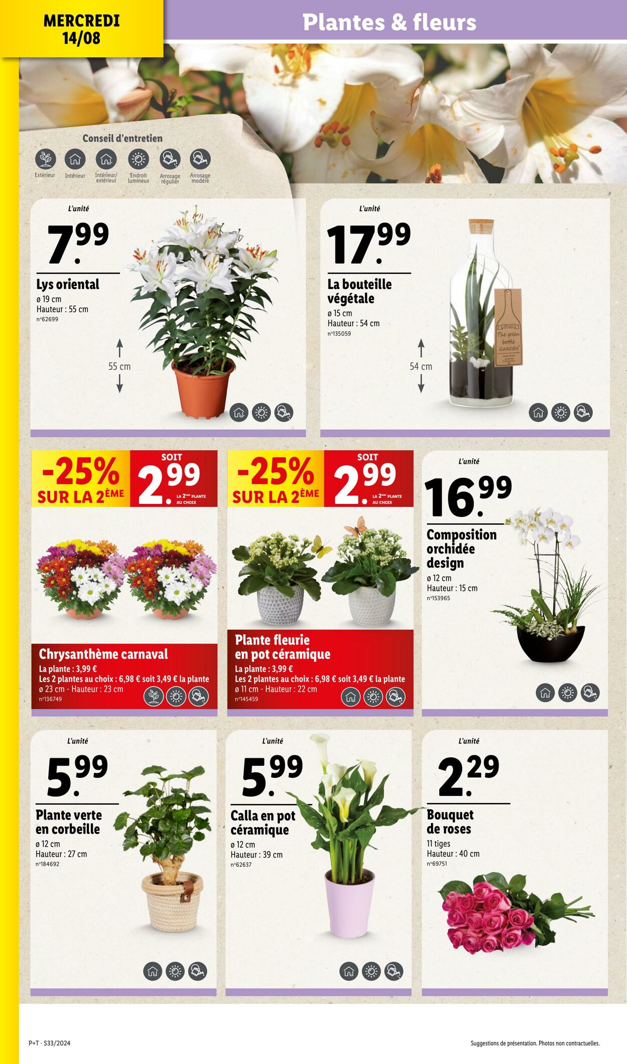 Catalogue Lidl 14.08.2024 - 20.08.2024