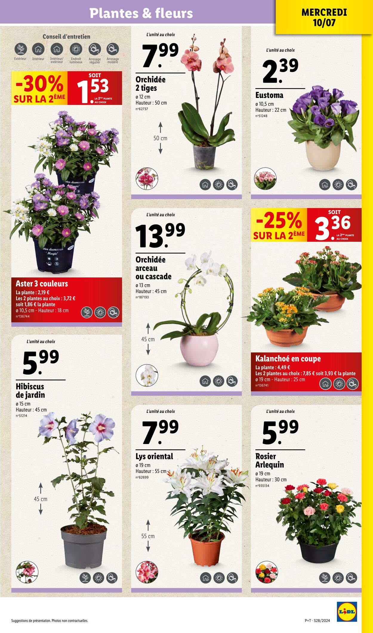 Catalogue Lidl 10.07.2024 - 16.07.2024