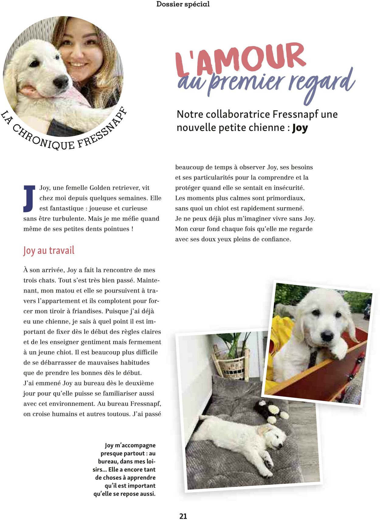 Catalogue Maxi Zoo 01.08.2025 - 31.08.2025