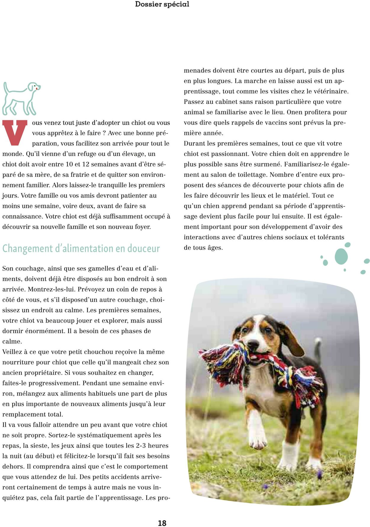 Catalogue Maxi Zoo 01.08.2025 - 31.08.2025