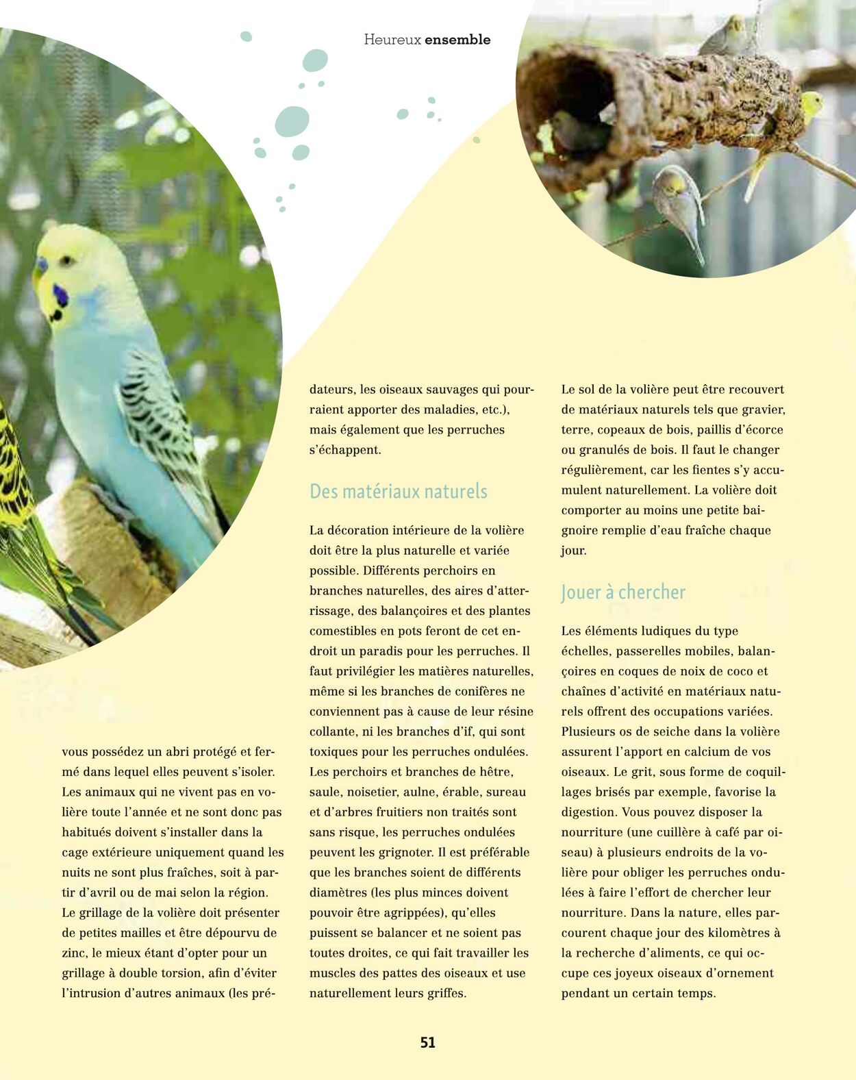 Catalogue Maxi Zoo 01.08.2025 - 31.08.2025