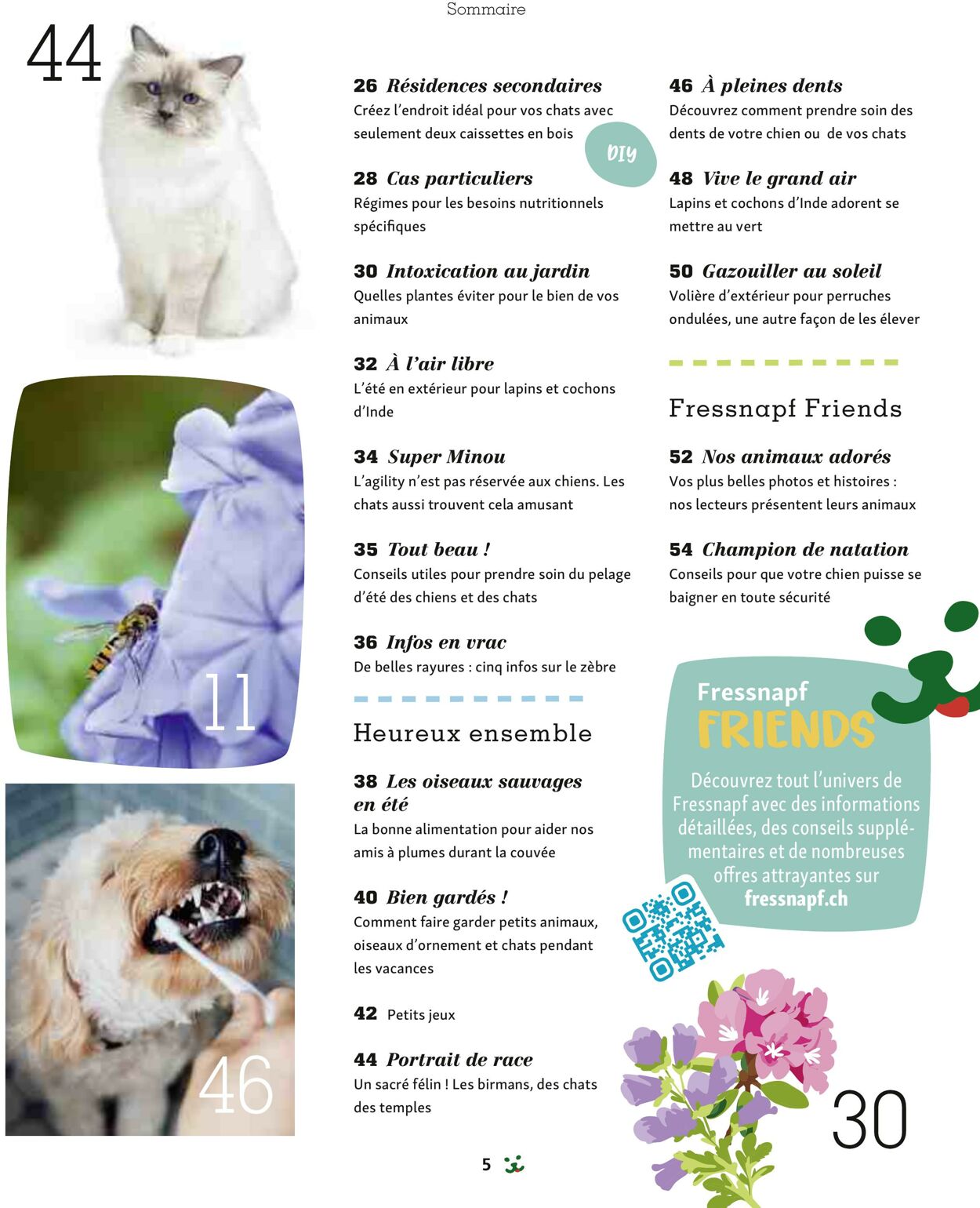 Catalogue Maxi Zoo 01.07.2025 - 31.07.2025