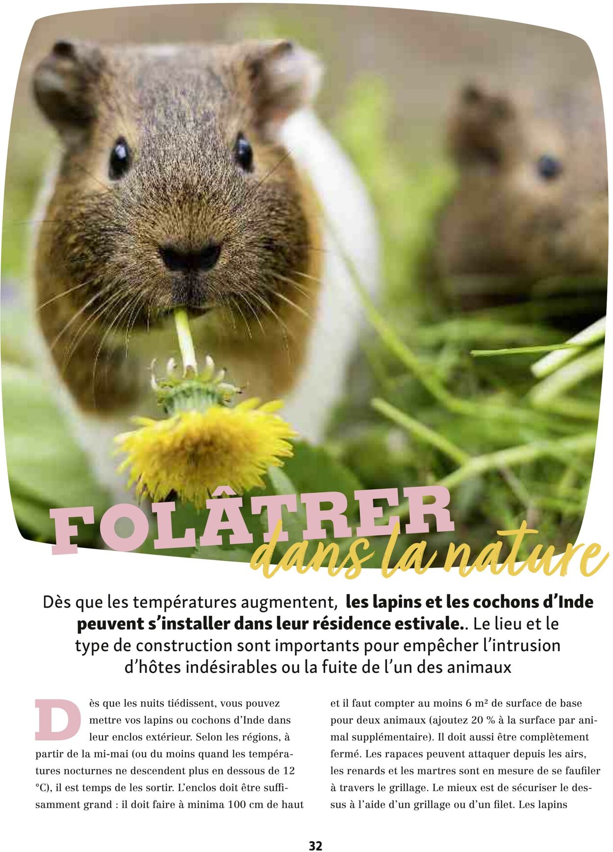 Catalogue Maxi Zoo 01.07.2025 - 31.07.2025