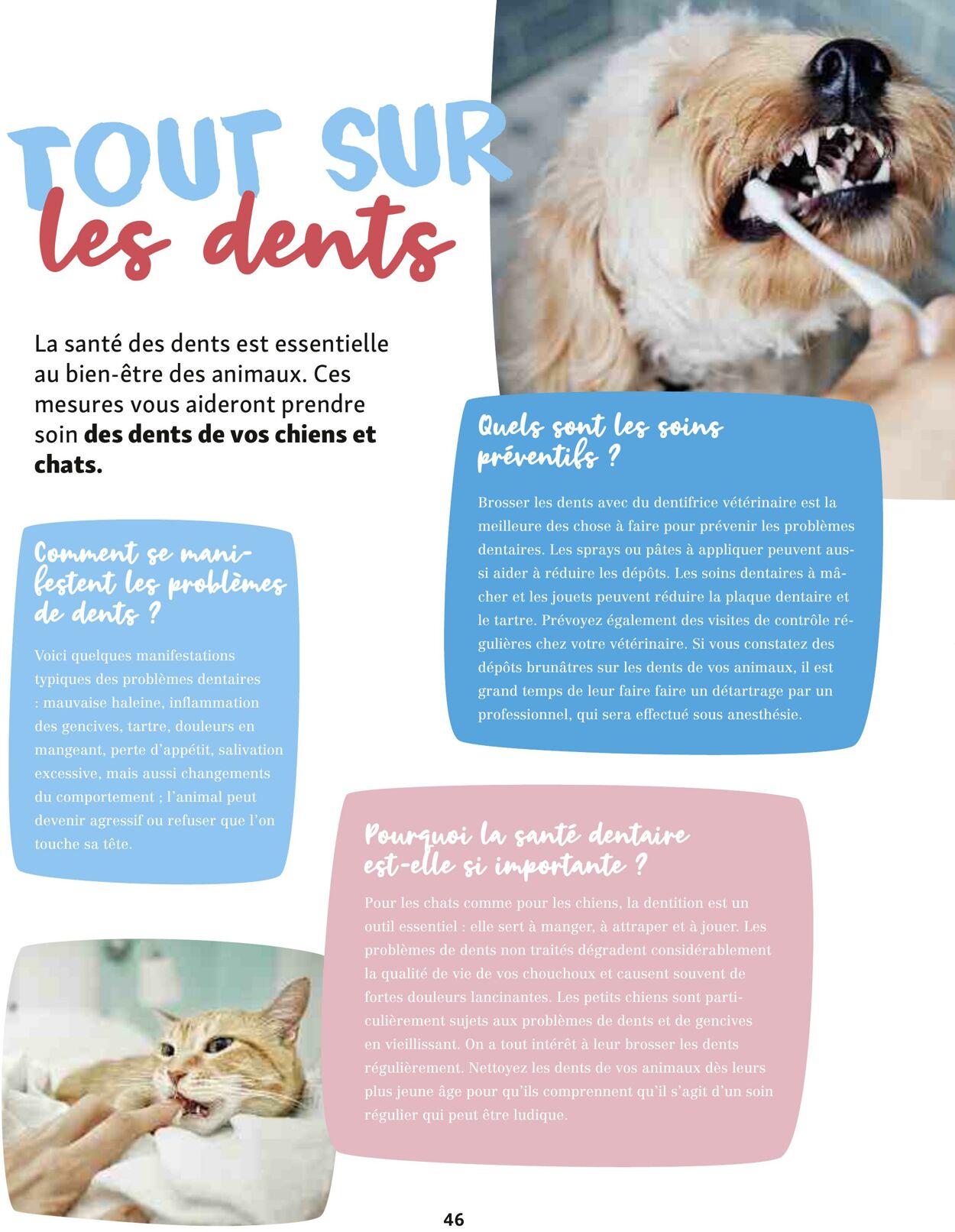 Catalogue Maxi Zoo 01.06.2025 - 30.06.2025