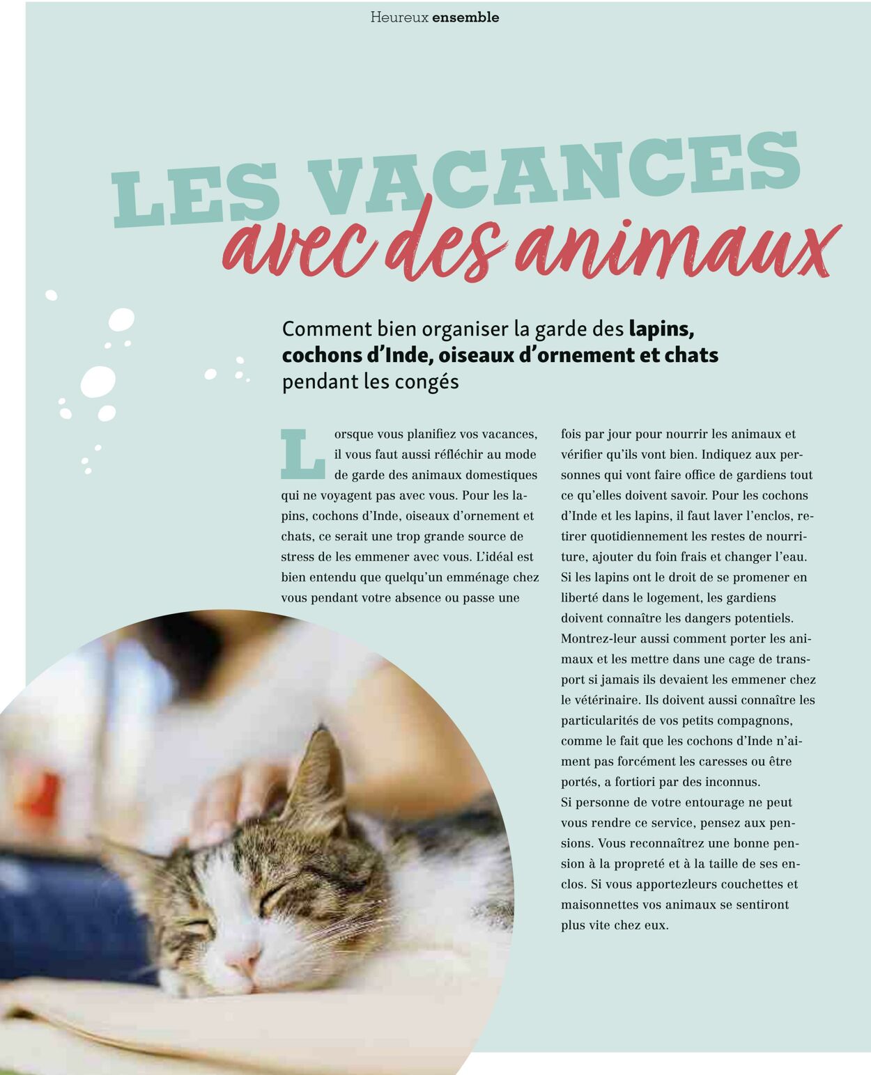 Catalogue Maxi Zoo 01.09.2025 - 30.09.2025