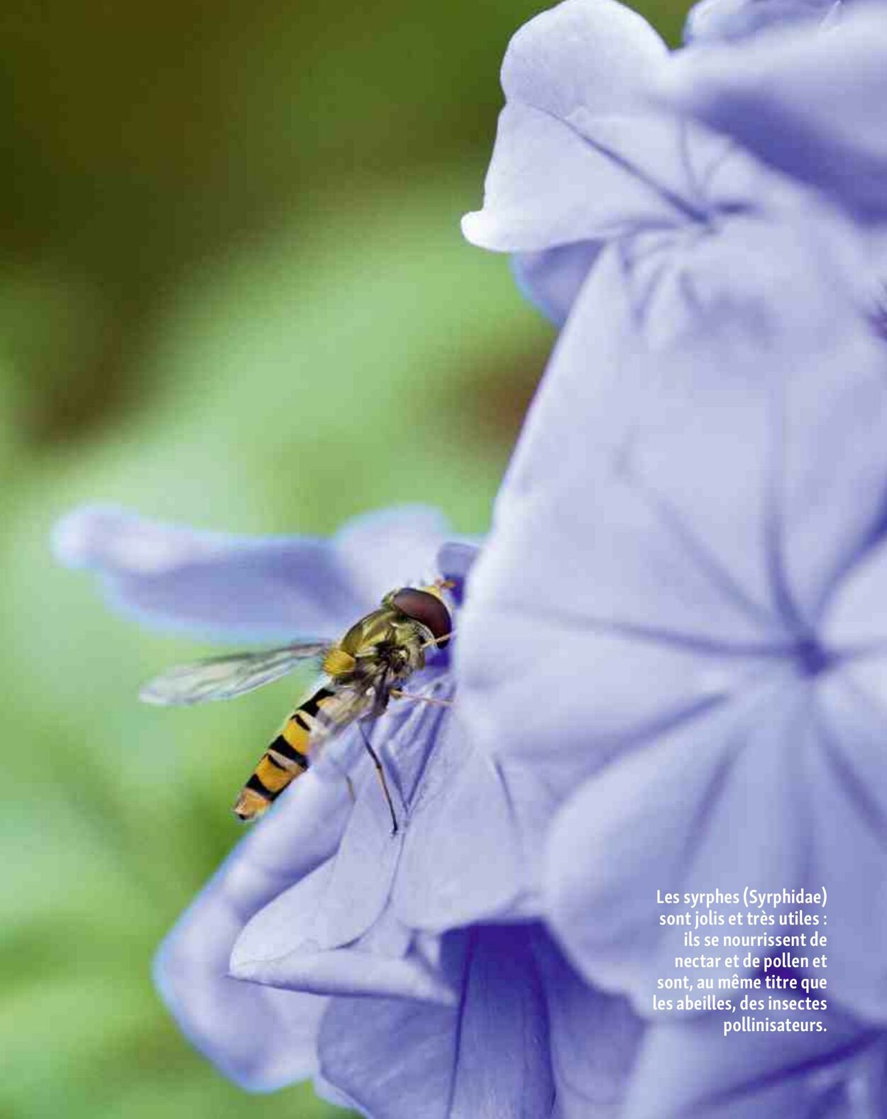Catalogue Maxi Zoo 01.09.2025 - 30.09.2025