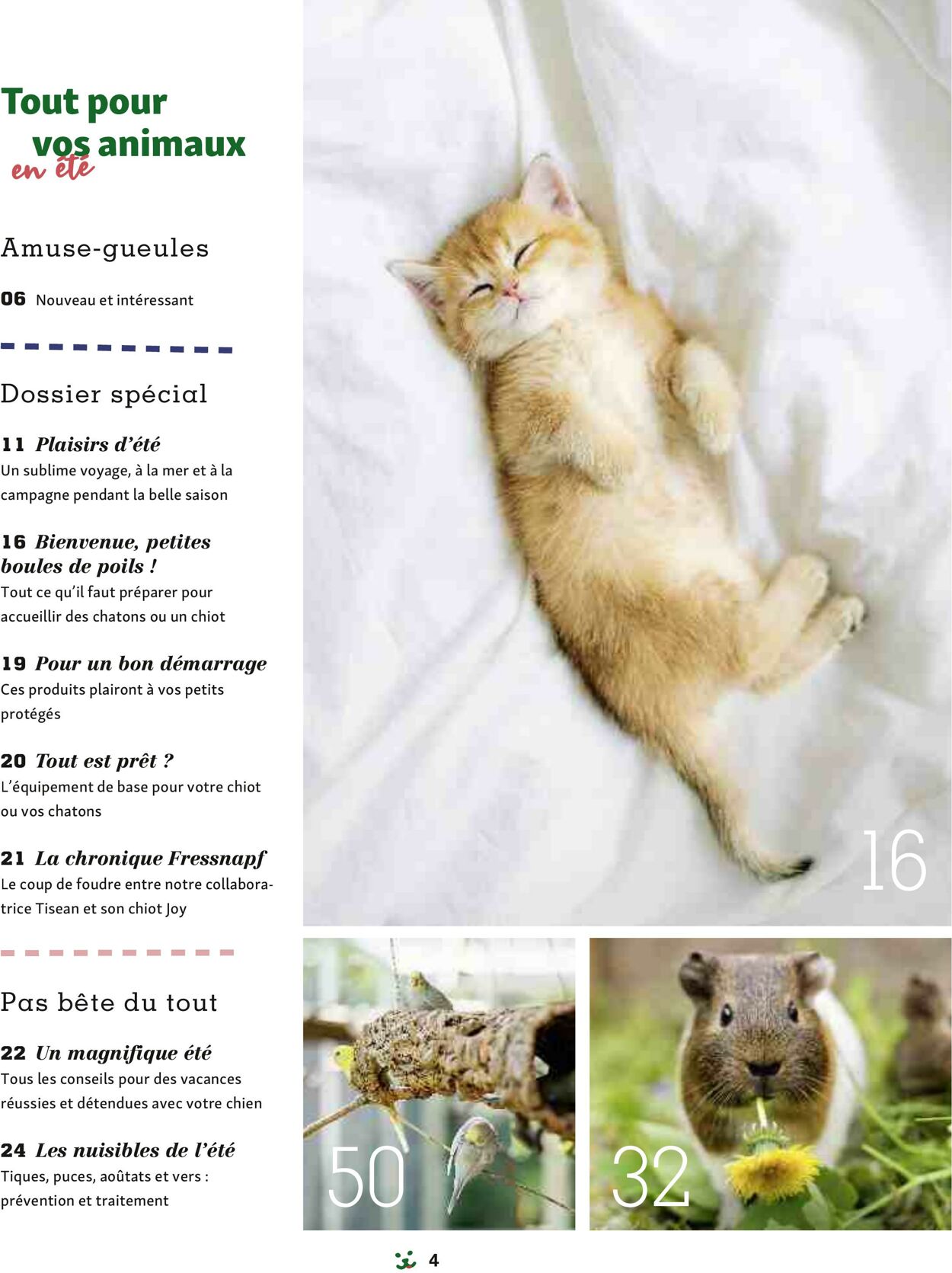 Catalogue Maxi Zoo 01.09.2025 - 30.09.2025
