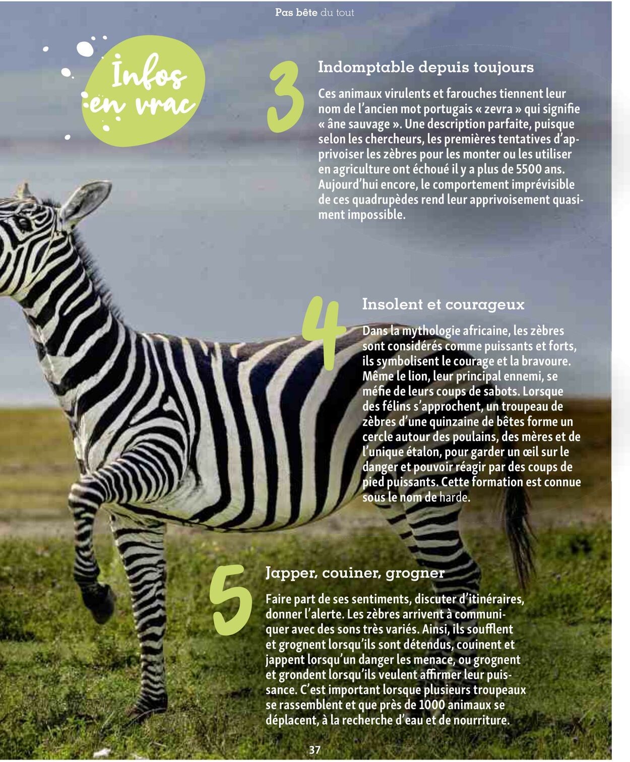 Catalogue Maxi Zoo 01.09.2025 - 30.09.2025