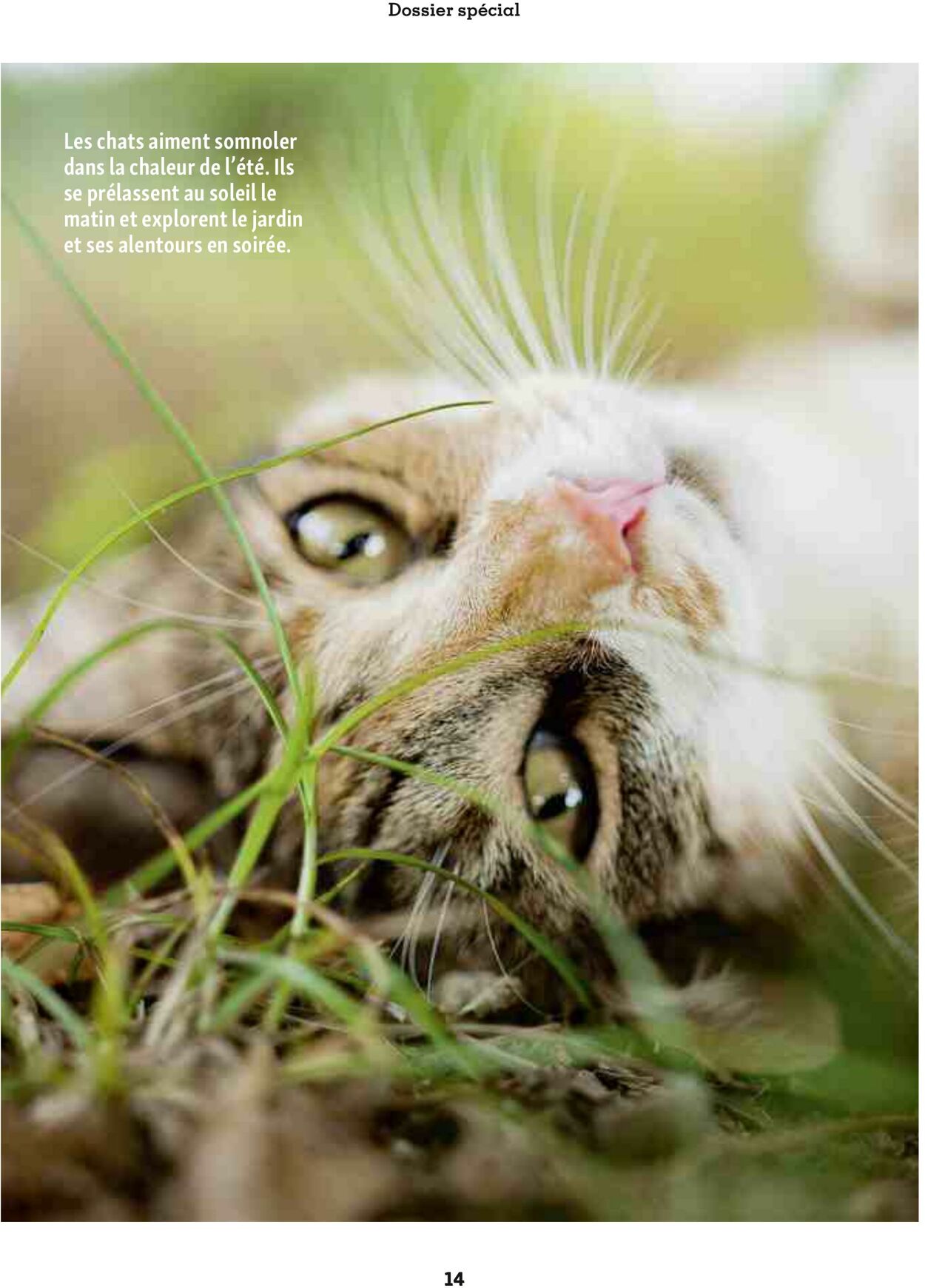 Catalogue Maxi Zoo 01.08.2025 - 31.08.2025
