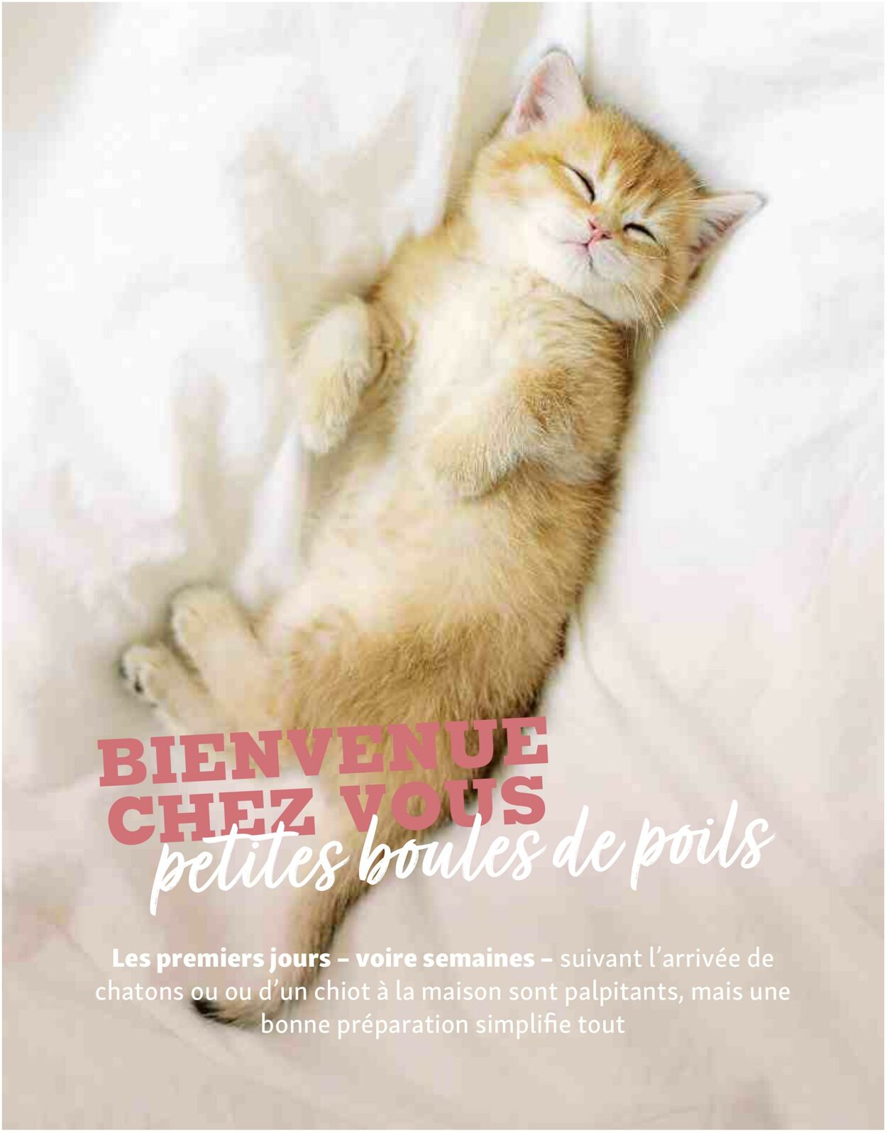 Catalogue Maxi Zoo 01.08.2025 - 31.08.2025