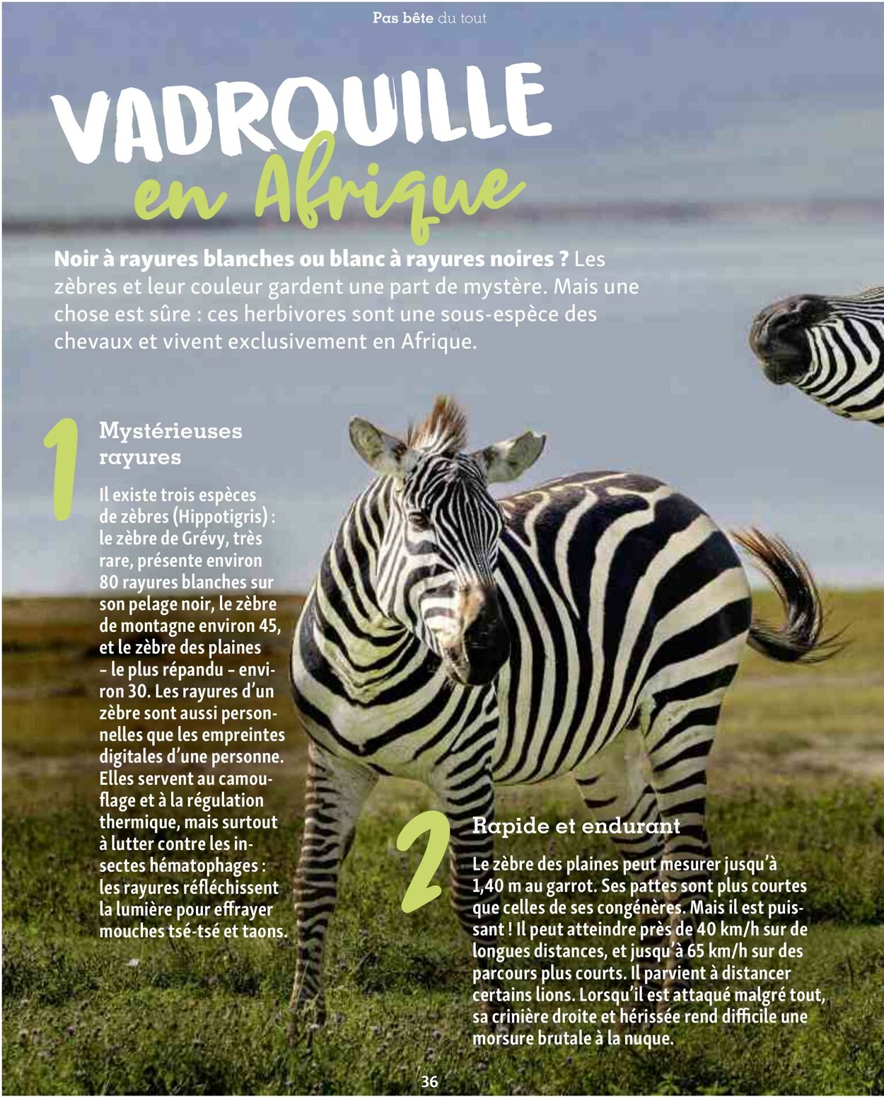 Catalogue Maxi Zoo 01.08.2025 - 31.08.2025