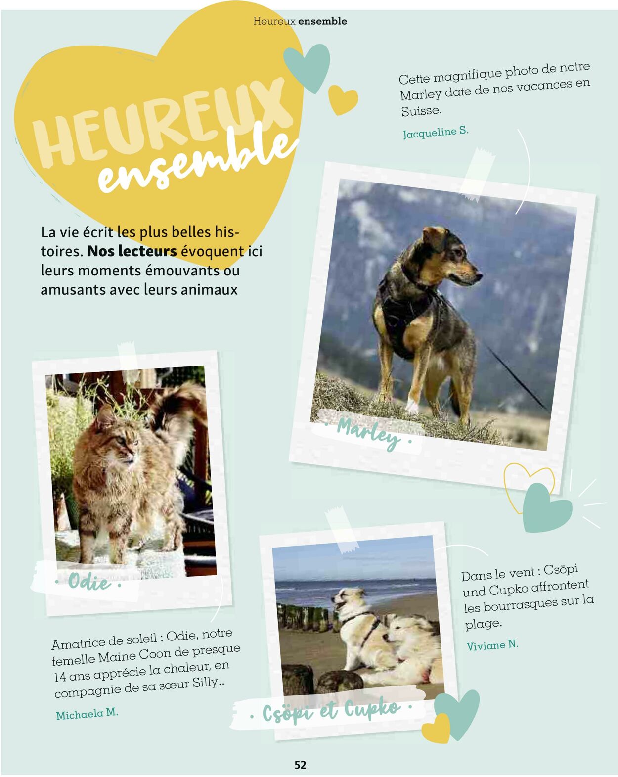 Catalogue Maxi Zoo 01.08.2025 - 31.08.2025