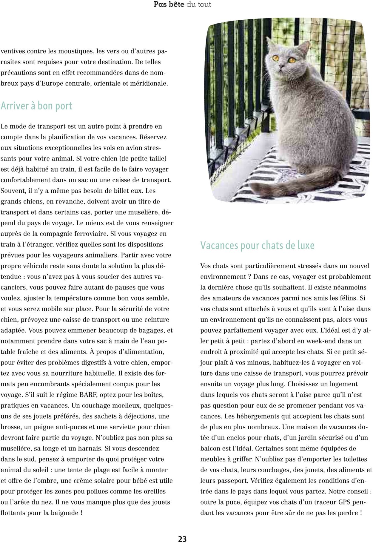 Catalogue Maxi Zoo 01.07.2025 - 31.07.2025