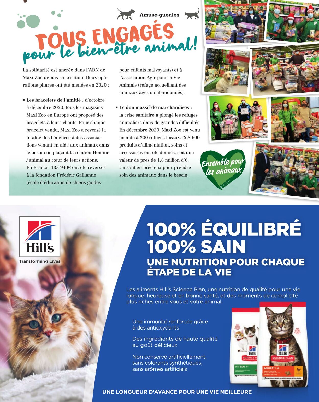 Catalogue Maxi Zoo 01.06.2021 - 31.08.2021
