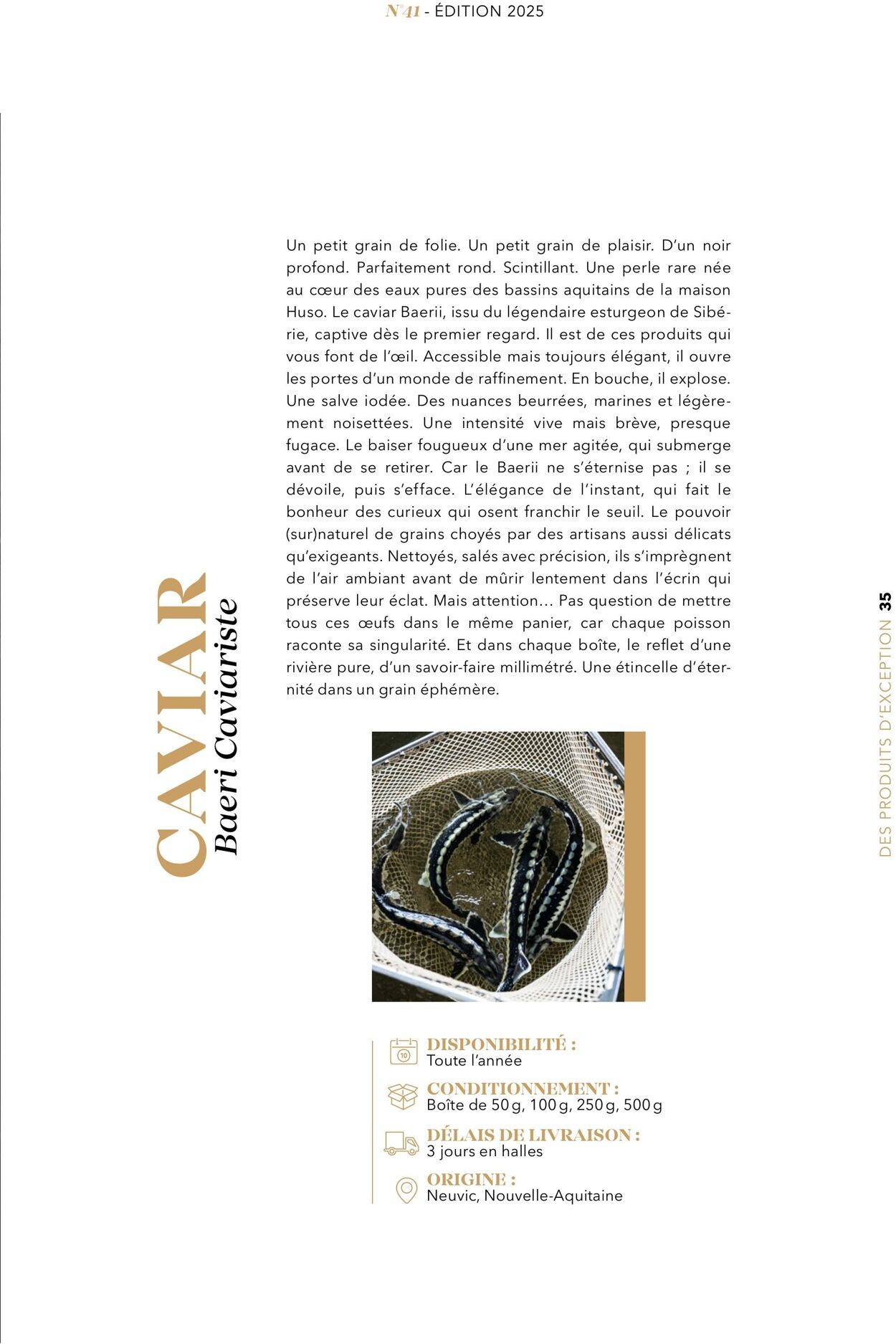 Catalogue Metro 12.12.2025 - 26.12.2025