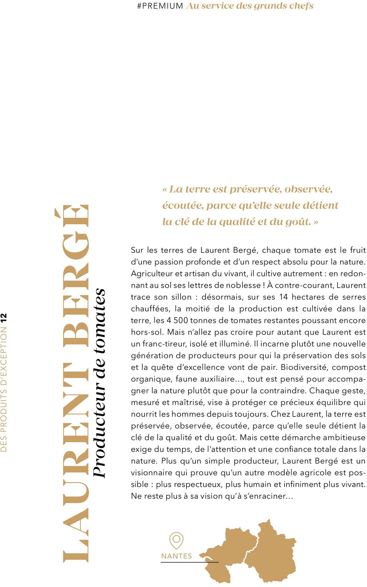 Catalogue Metro 12.12.2025 - 26.12.2025