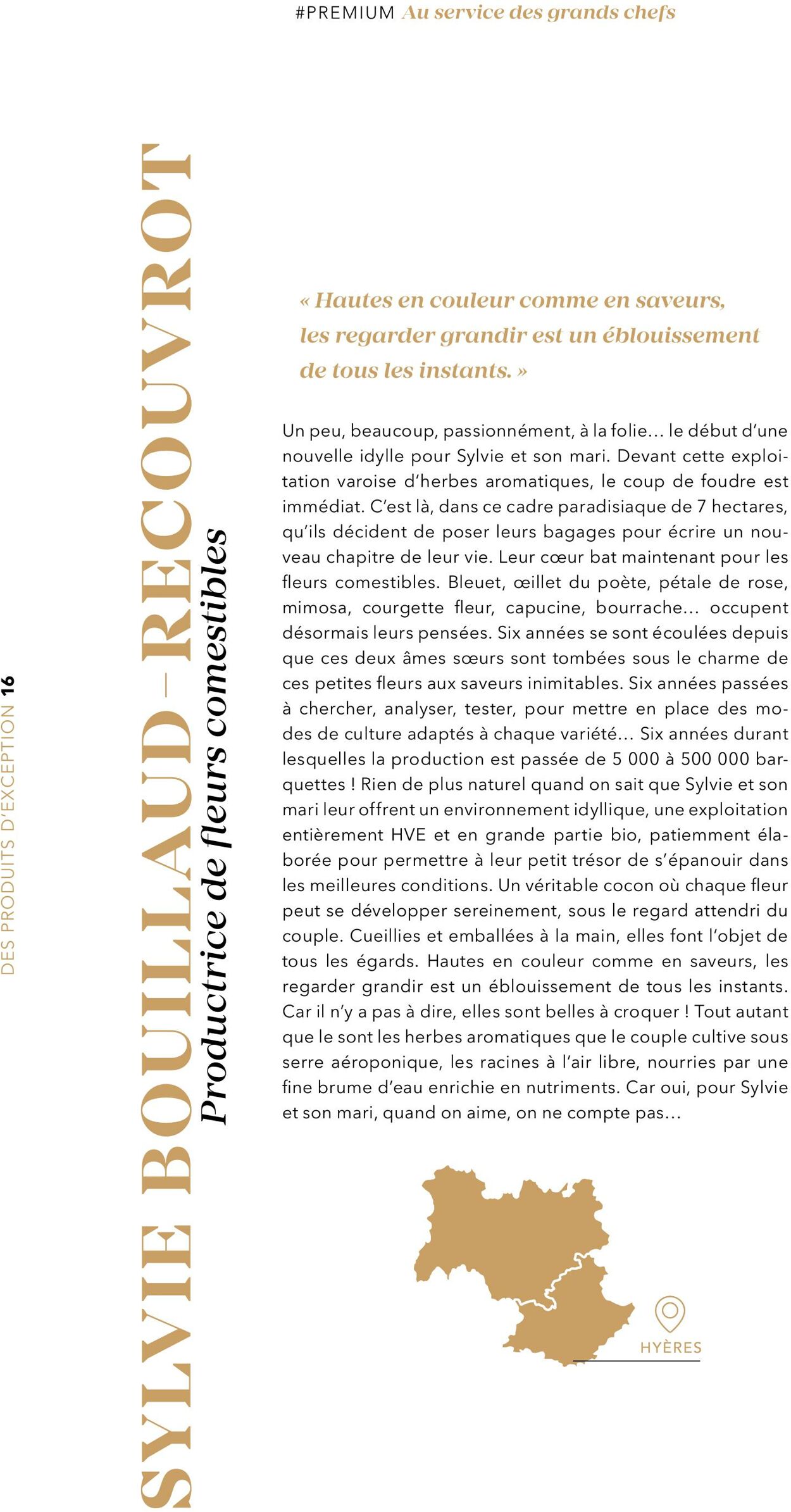 Catalogue Metro 12.12.2025 - 26.12.2025