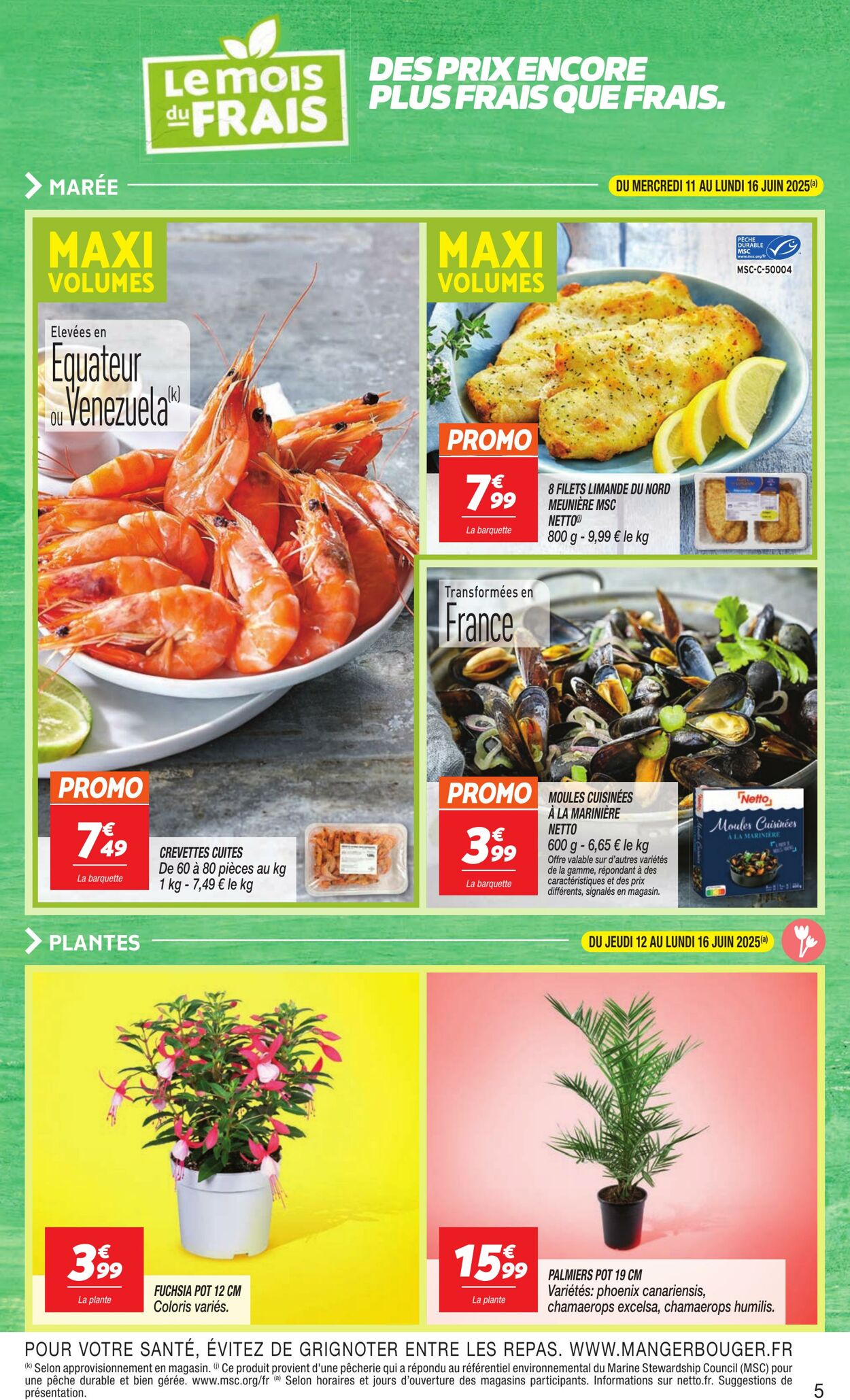 Catalogue Netto 10.06.2025 - 16.06.2025