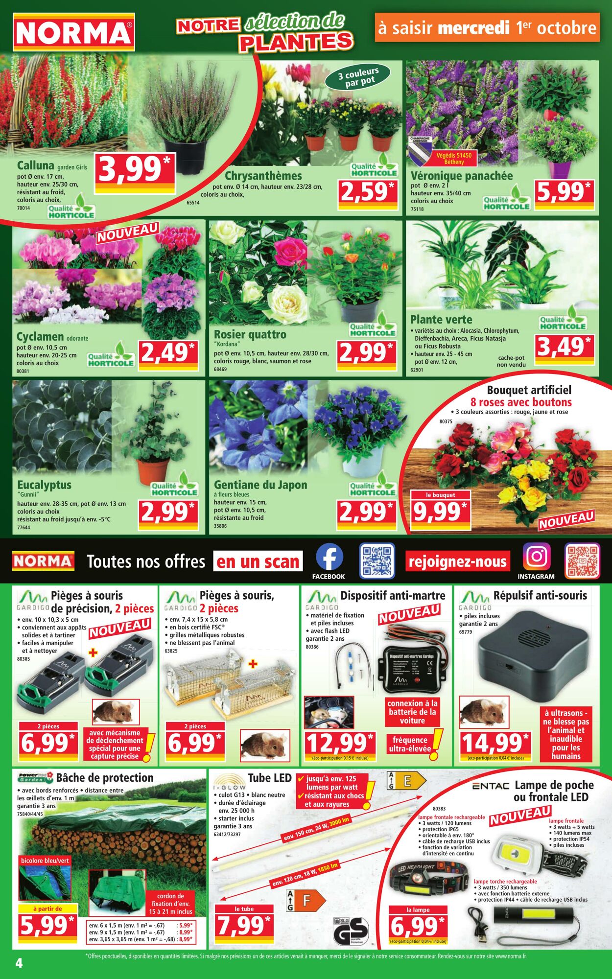Catalogue Norma 01.10.2025 - 07.10.2025