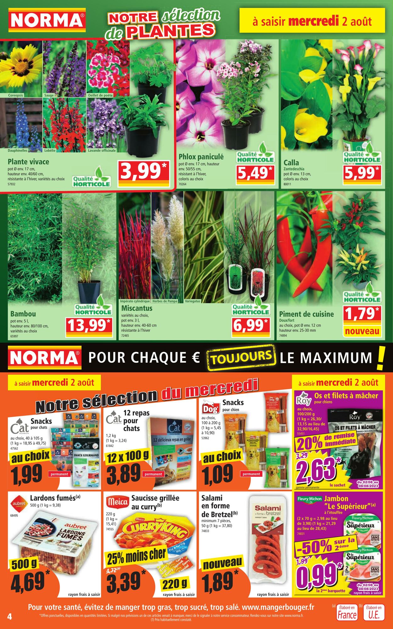 Catalogue Norma 02.08.2023 - 08.08.2023