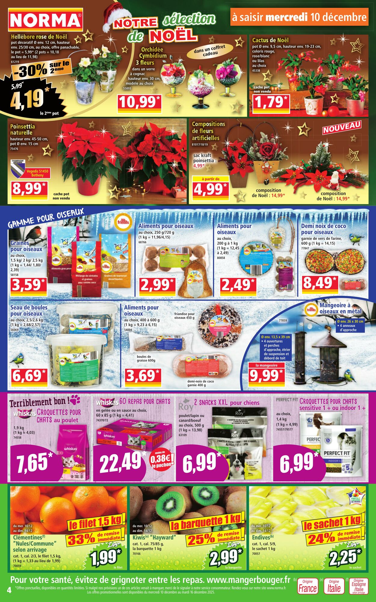 Catalogue Norma 10.12.2025 - 16.12.2025