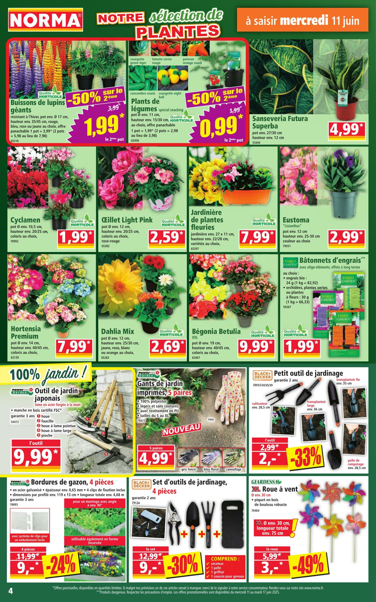 Catalogue Norma 11.06.2025 - 17.06.2025