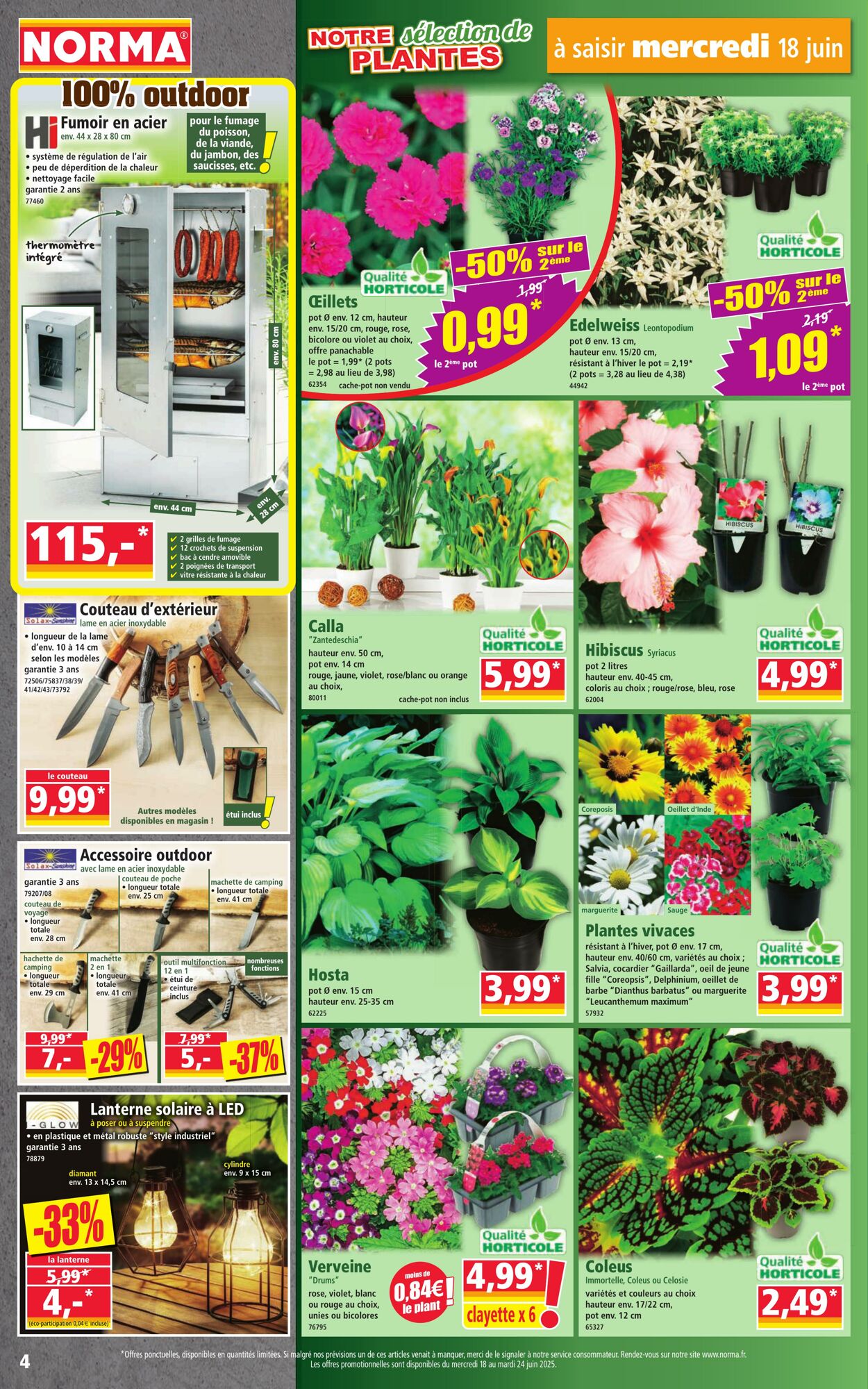 Catalogue Norma 18.06.2025 - 24.06.2025