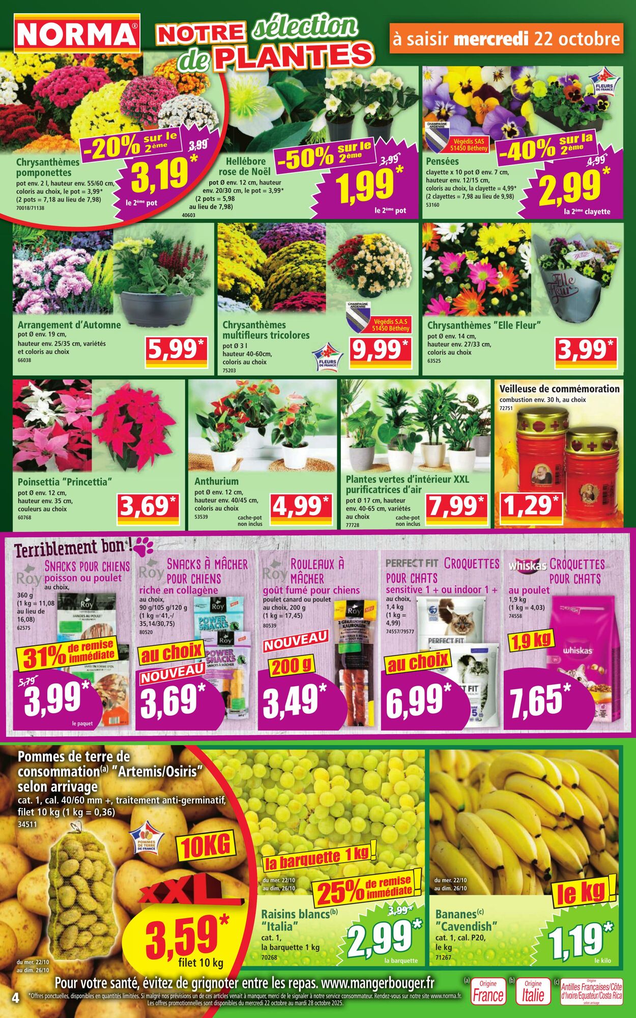 Catalogue Norma 22.10.2025 - 28.10.2025