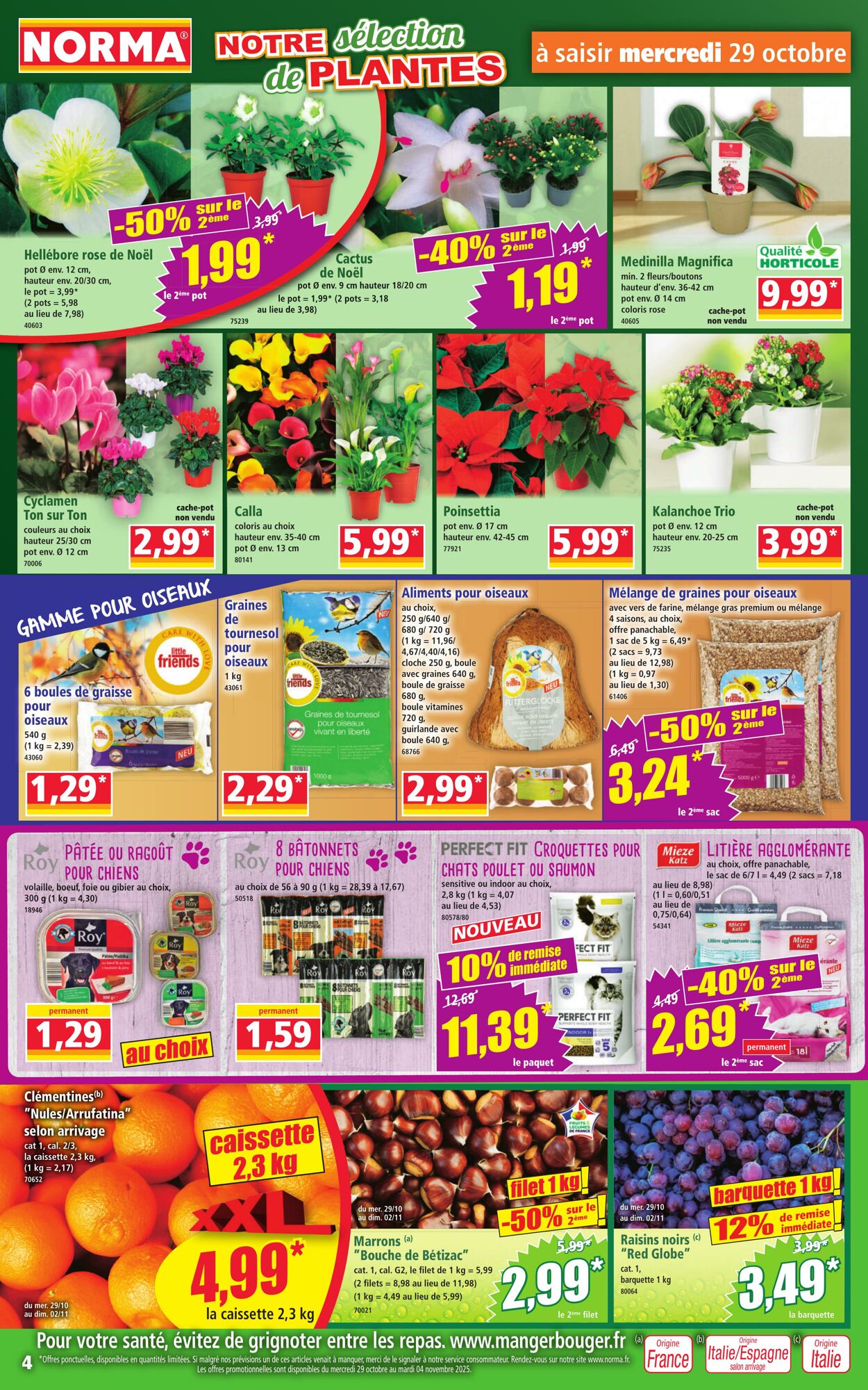 Catalogue Norma 29.10.2025 - 04.11.2025
