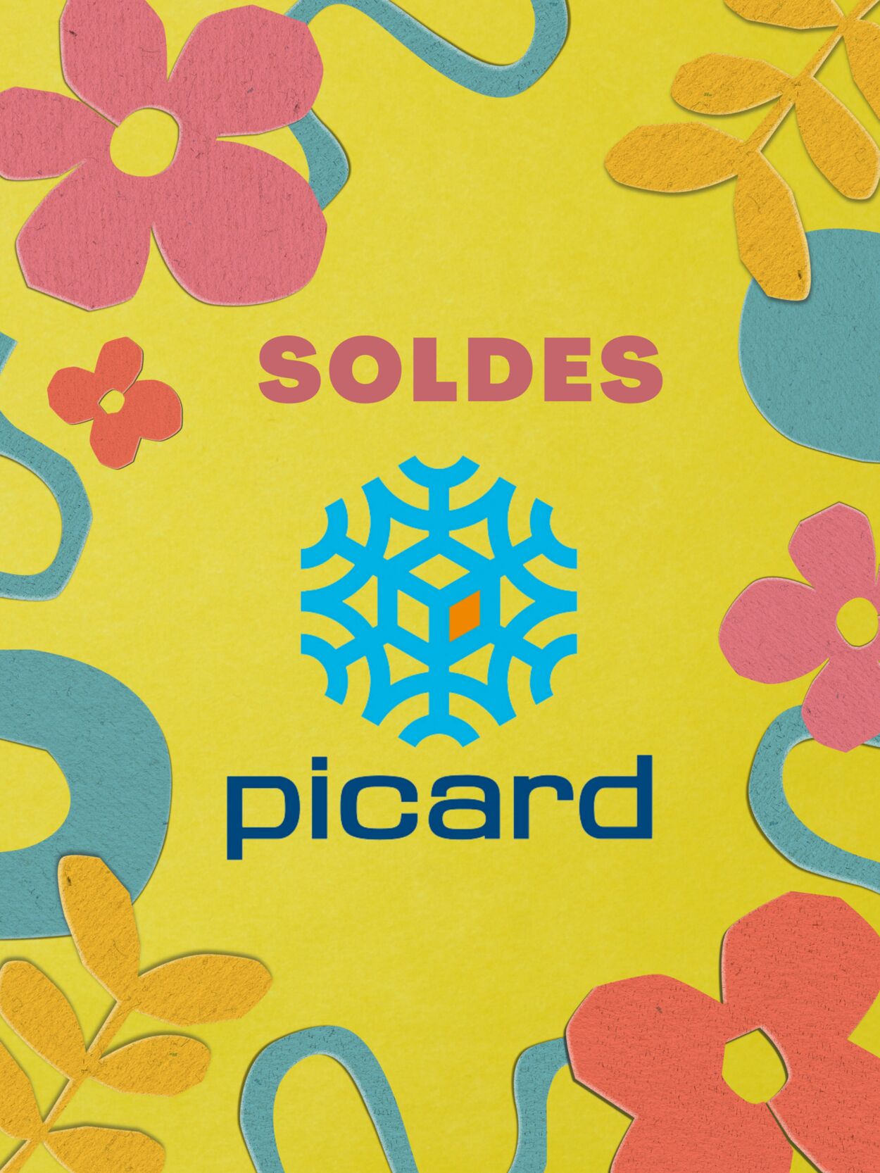 Catalogue Picard 11.01.2023-17.01.2023