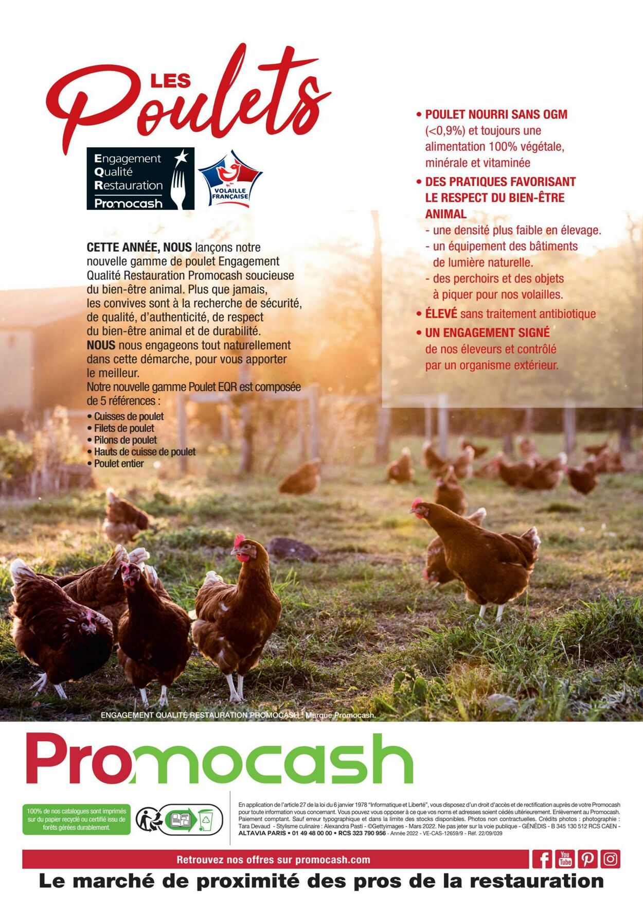 Catalogue Promocash 20.08.2022 - 31.12.2023